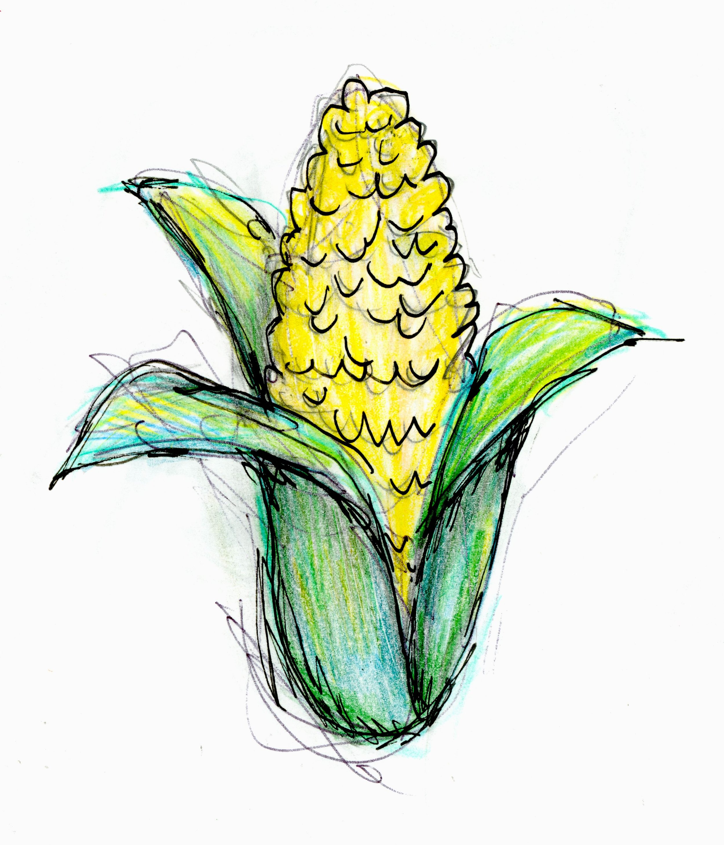 20250216-corn-drawing-scans-00005.jpg