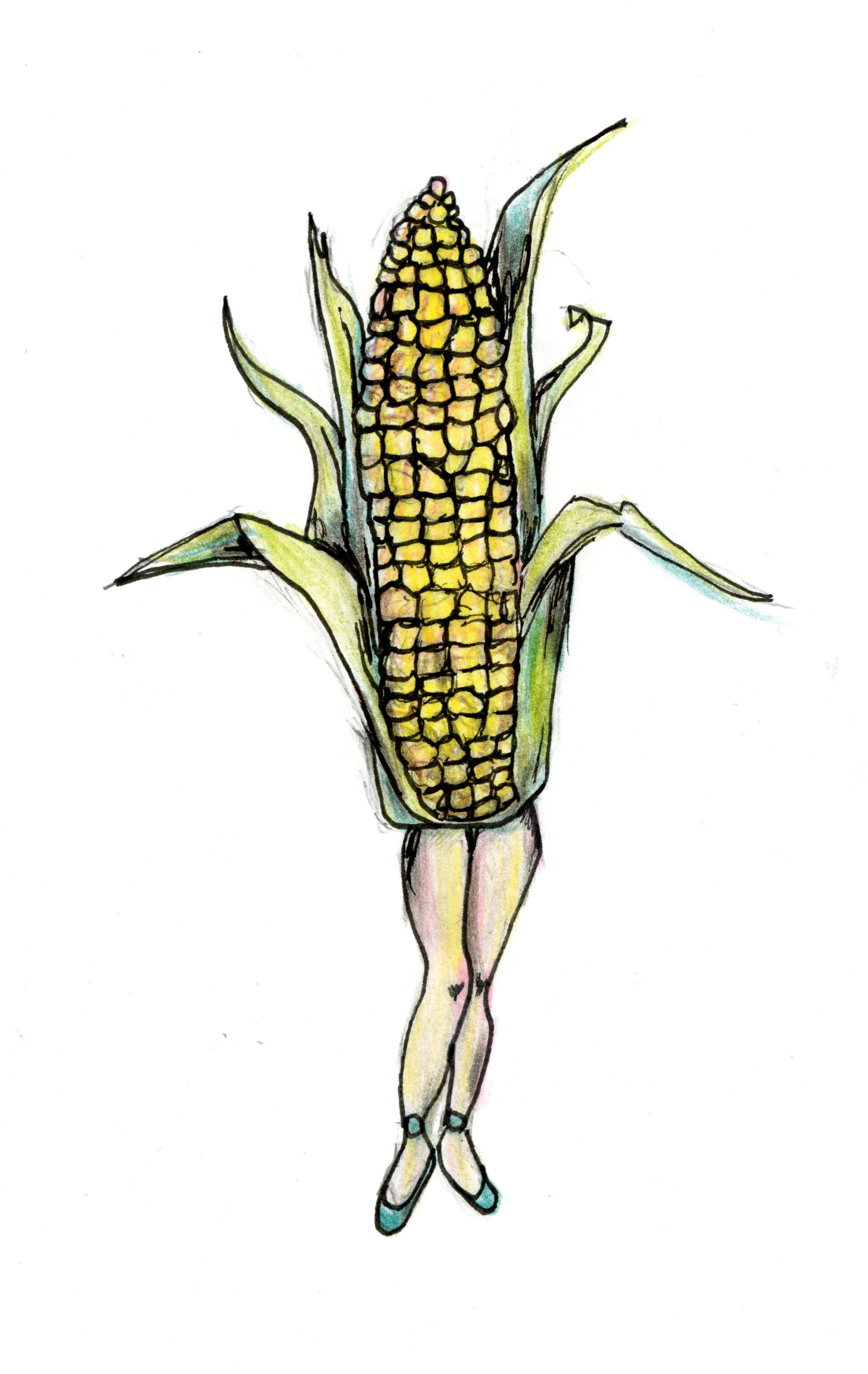 20250216-corn-drawing-scans-00029.jpg