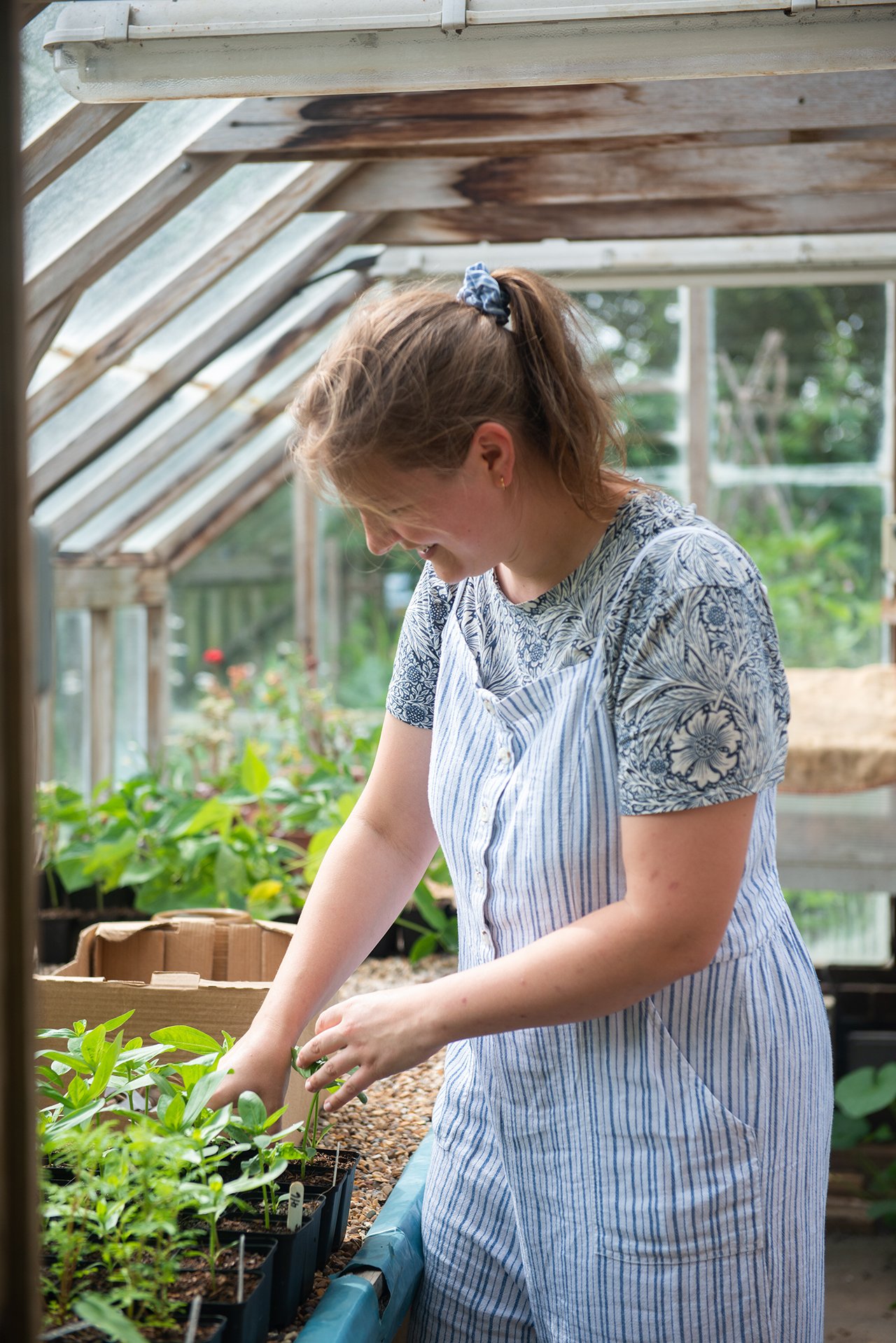 Young Propagator's Society - Great Dixter