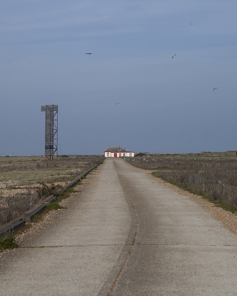 Dungeness