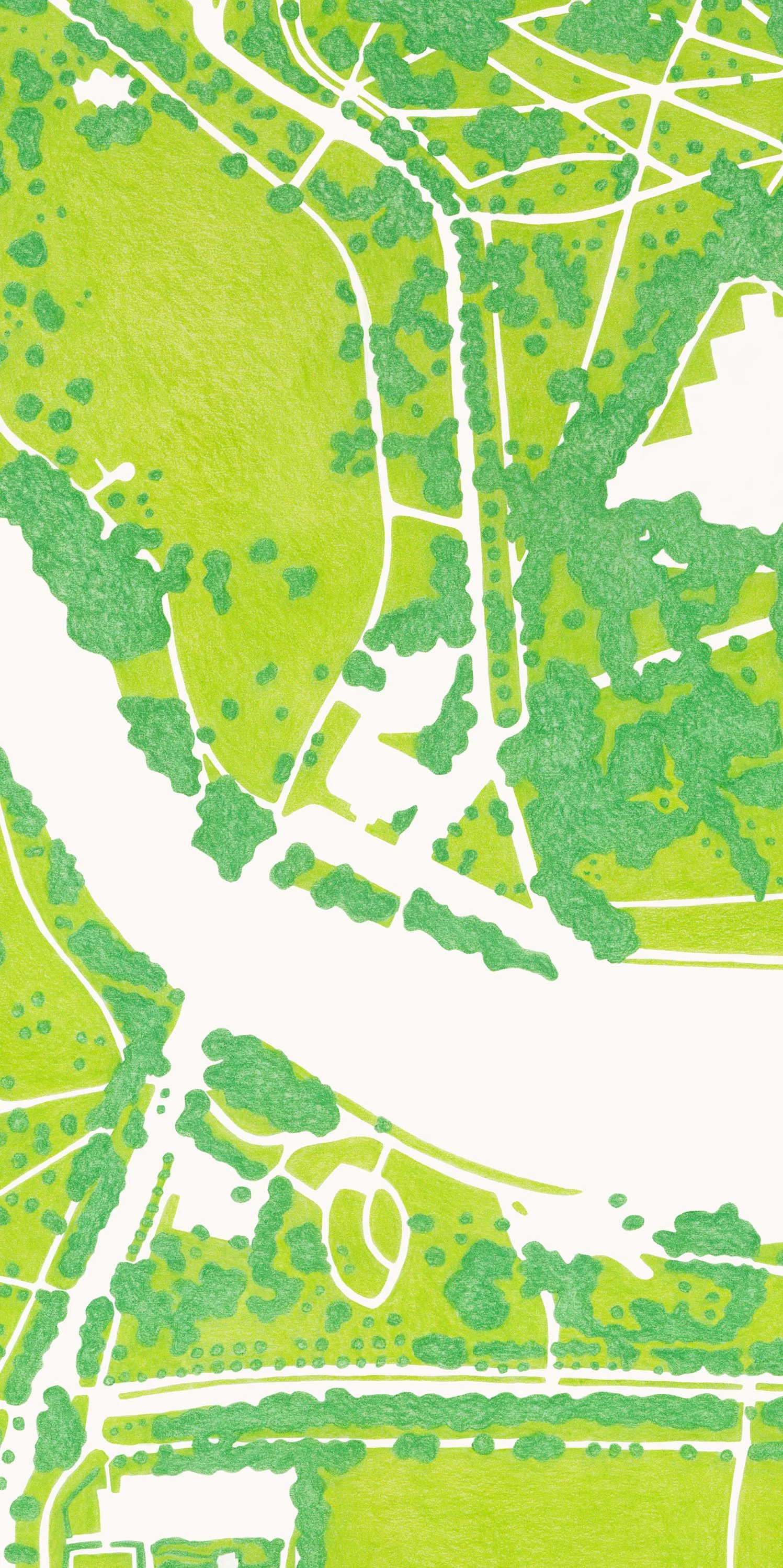 Close up.jpg