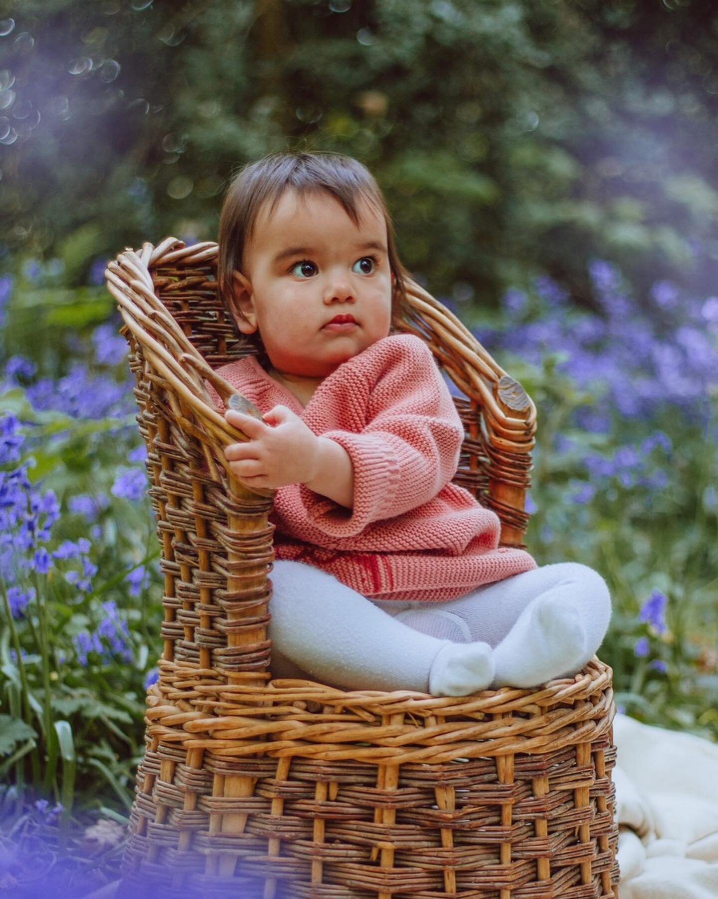 Bluebell sessions are over - Hello Lavender sessions next week 😍Let&rsquo;s make memories together?