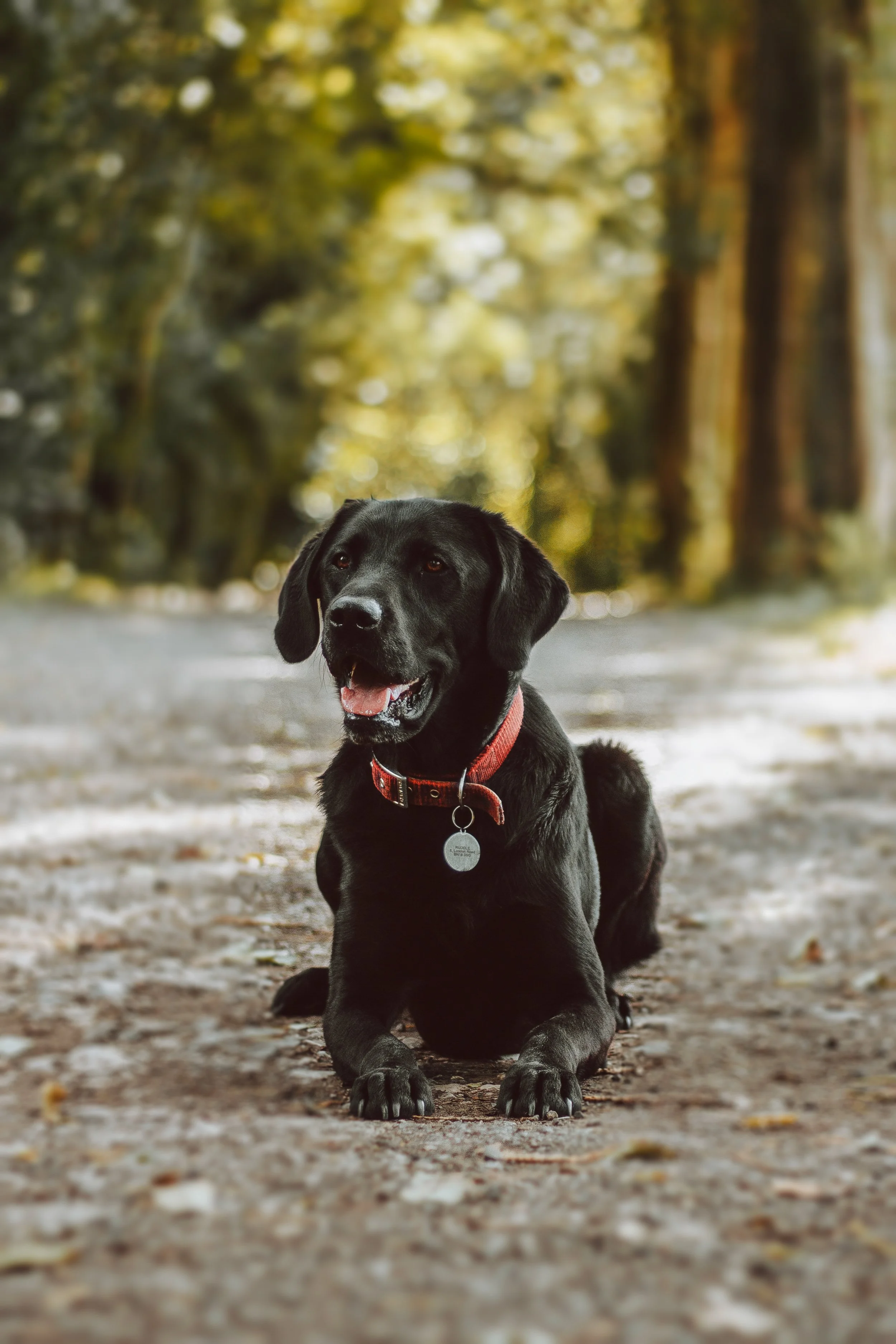 IMG_3202-Edit copy.jpg