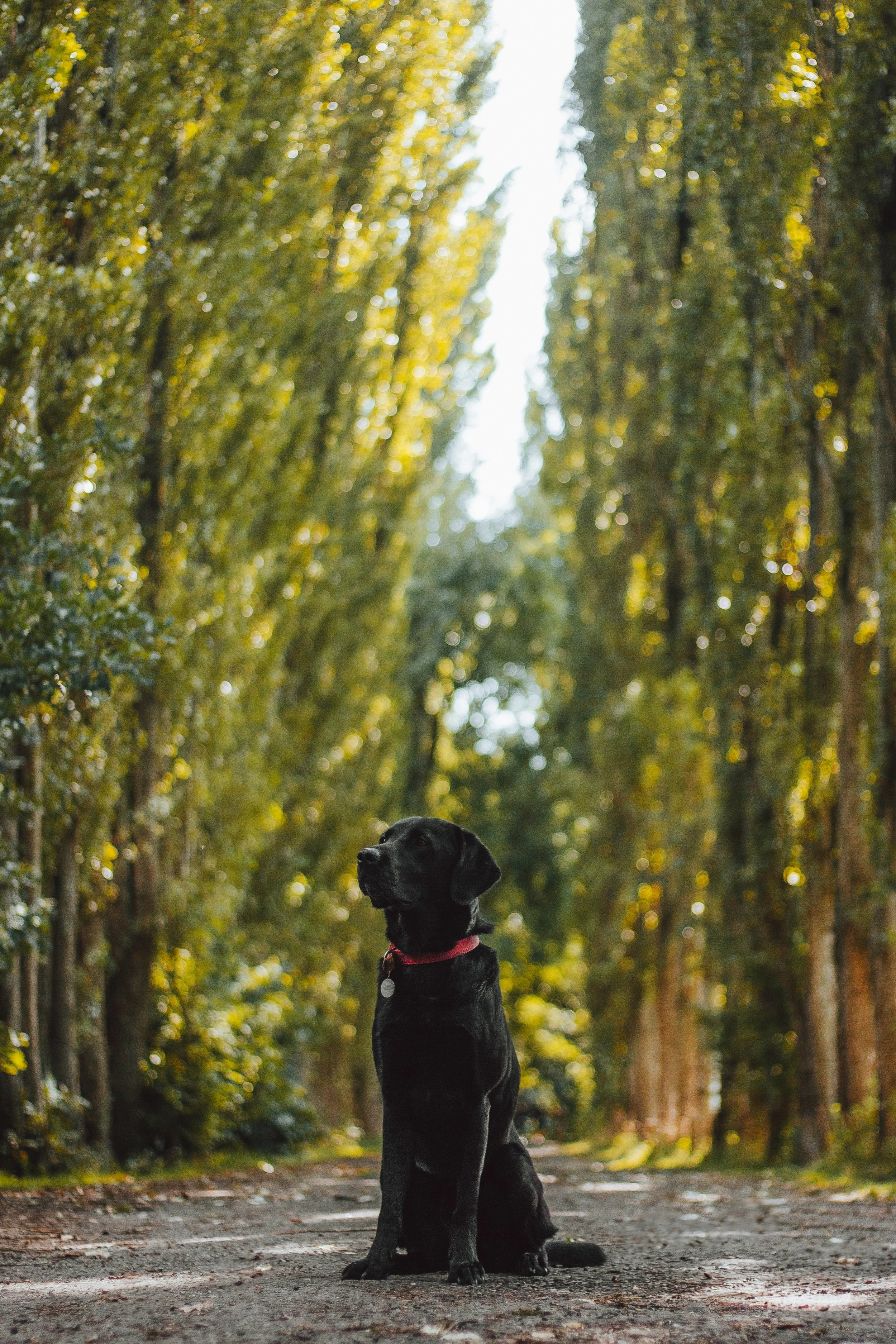 IMG_3178-Edit copy.jpg