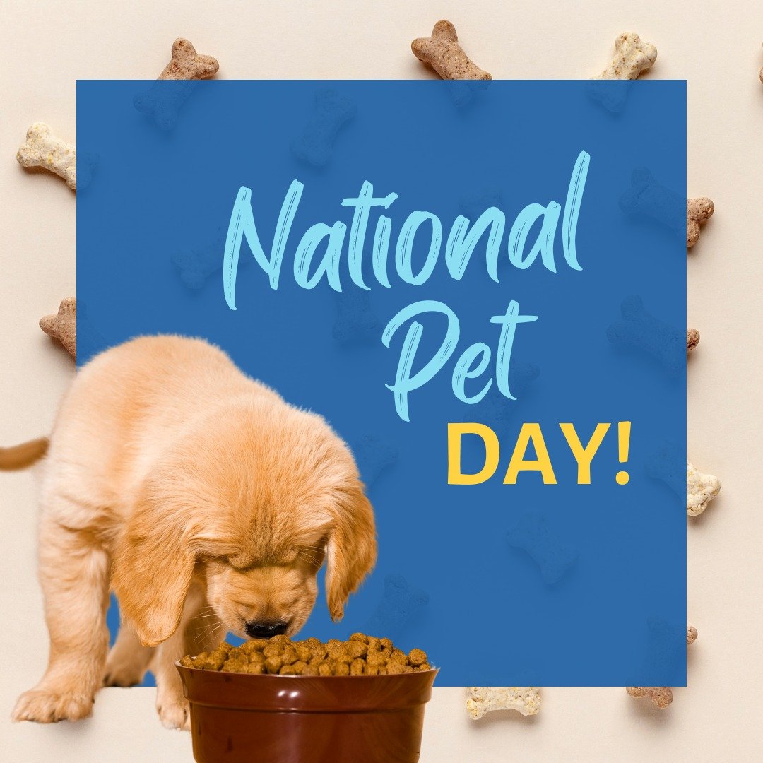 Happy #NationalPetDay! 🐾🌽 Corn plays an important role in your pet&rsquo;s food. 

Corn provides energy for our furry friends, and the fiber helps support their digestive system. 

It also contains essential amino acids that help support their over