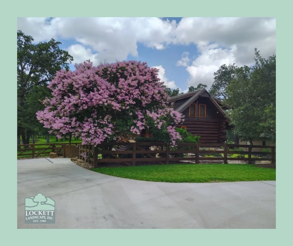 Did you know we provide routine maintenance and upkeep services? You will never have to worry about your outdoor spaces getting neglected. We will make sure it looks amazing all year long. For more information, call us at (979) 846-5347! #landscaping
