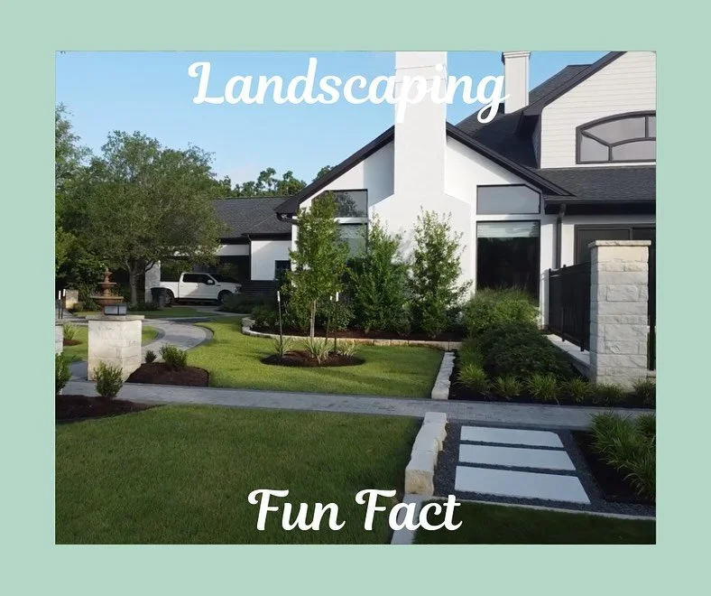 In light of Aggie&rsquo;s 7-0, win streak, we wanted to post a fun fact about one of Aggieland&rsquo;s greatest landmarks! The #centurytree has been a long standing of love, endurance and commitment for many decades. It was planted in 1908. We hope e