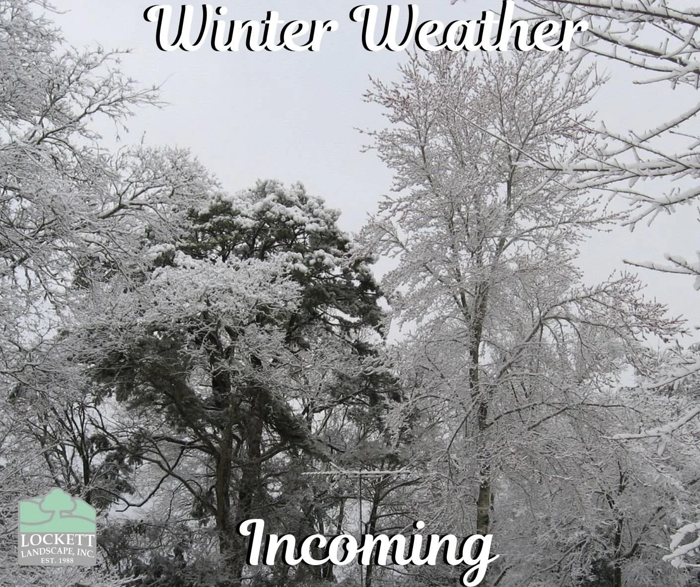 Hello everyone! 

With the incoming cold front and increased of snow, there are some precautions everyone can take to keep their landscapes looking their best after the cold weather passes us by. Remember to wrap your pipes, cover your spigots, and w