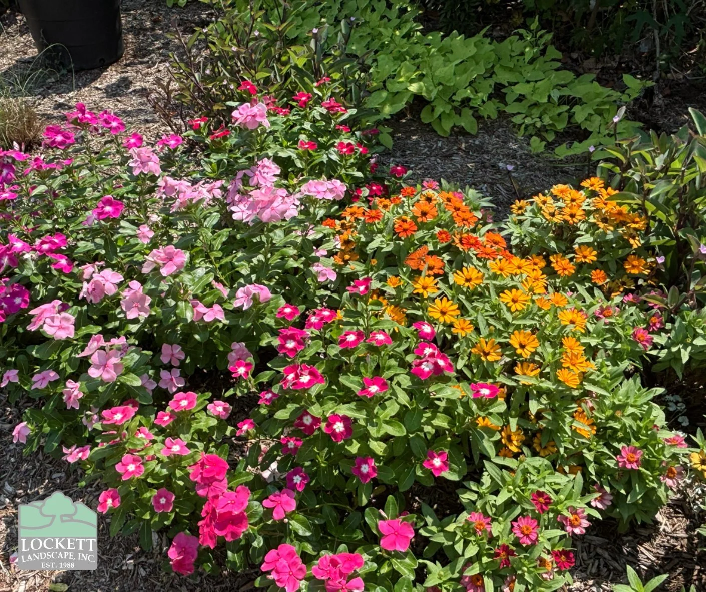 Happy Friday everyone! Check out some recent photos taken on the jobsite. We hope you all have a fun and safe holiday weekend! #trending #fall #landscaping #smallbusiness #familyowned