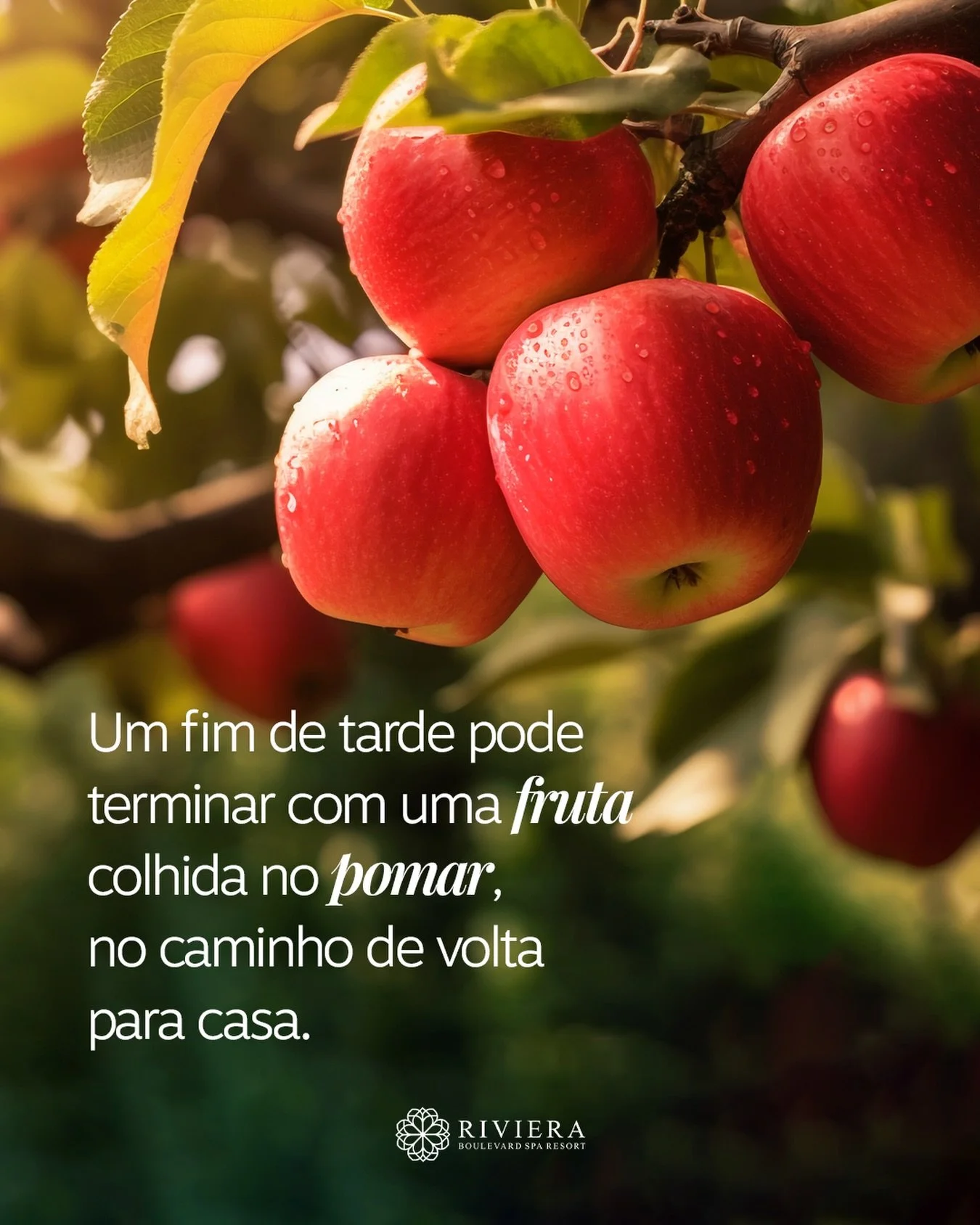 No Riviera Boulevard Spa Resort, um fim de tarde pode terminar exatamente assim: com uma caminhada, contato com a natureza e uma fruta colhida no pomar, a poucos passos de casa.