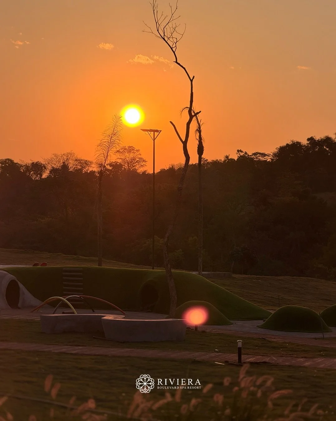 Tem dias em que viver o Riviera &eacute; perceber os detalhes. 

O caminho cercado pelo verde, a sombra das &aacute;rvores, o paisagismo acompanhando cada passo e a natureza deixando de ser um destino para fazer parte da rotina. 
🌆🍃☀️