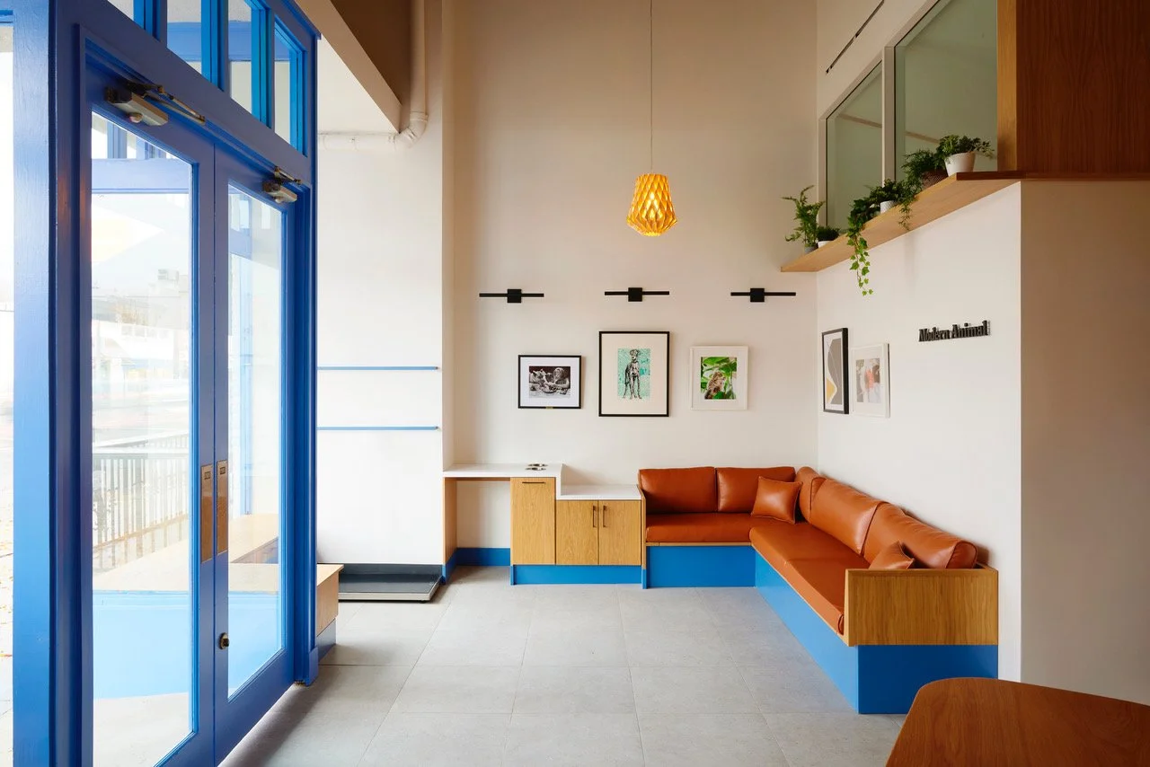 DB_Health+Wellness_Modern Animal_Studio City_Yoshihiro Makino_03.jpeg