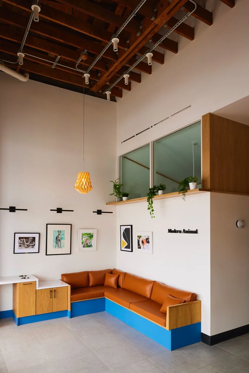 DB_Health+Wellness_Modern Animal_Studio City_Yoshihiro Makino_04.jpeg