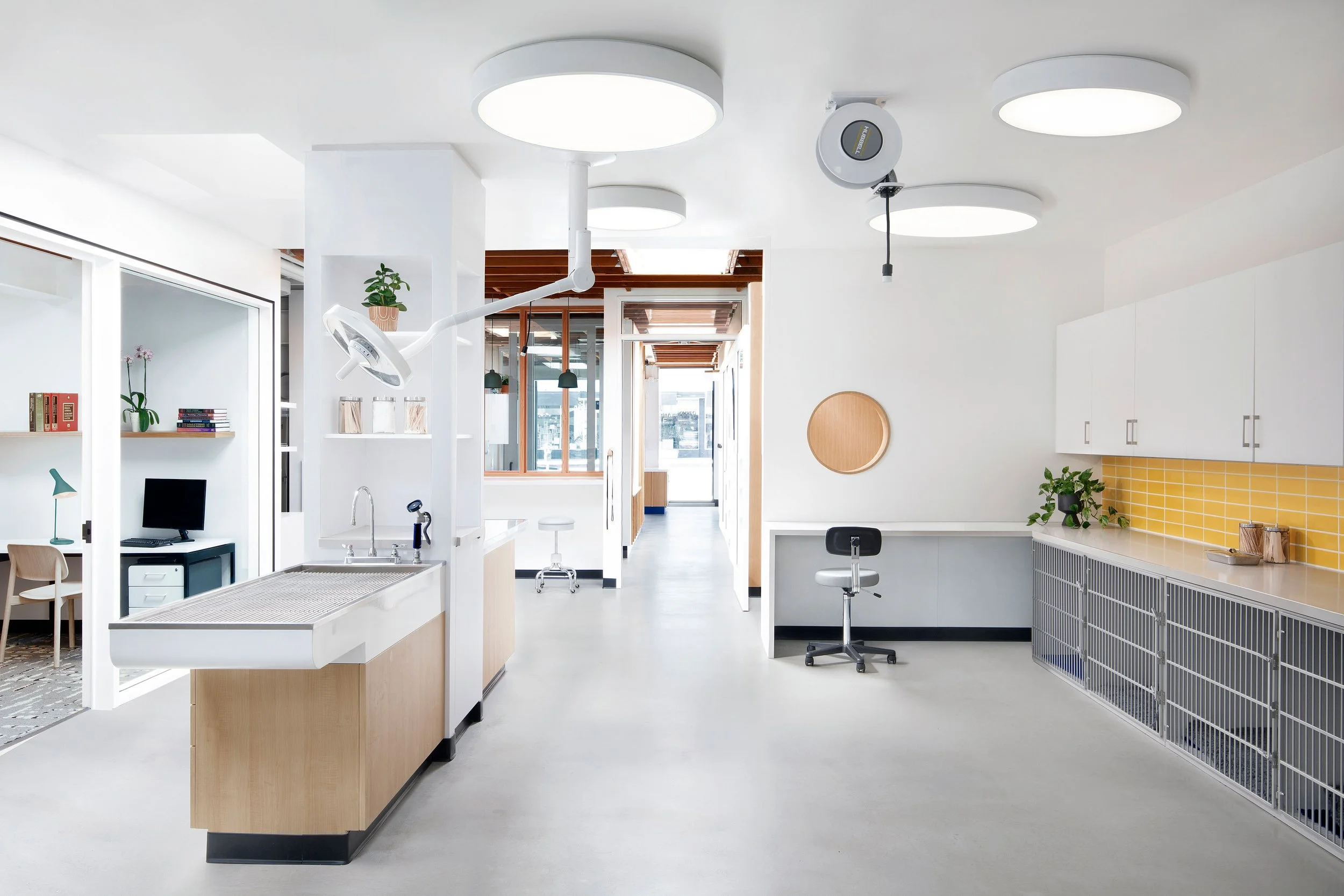 DB_Health+Wellness_Modern Animal_West Hollywood_Tim Hirschman_06.jpg