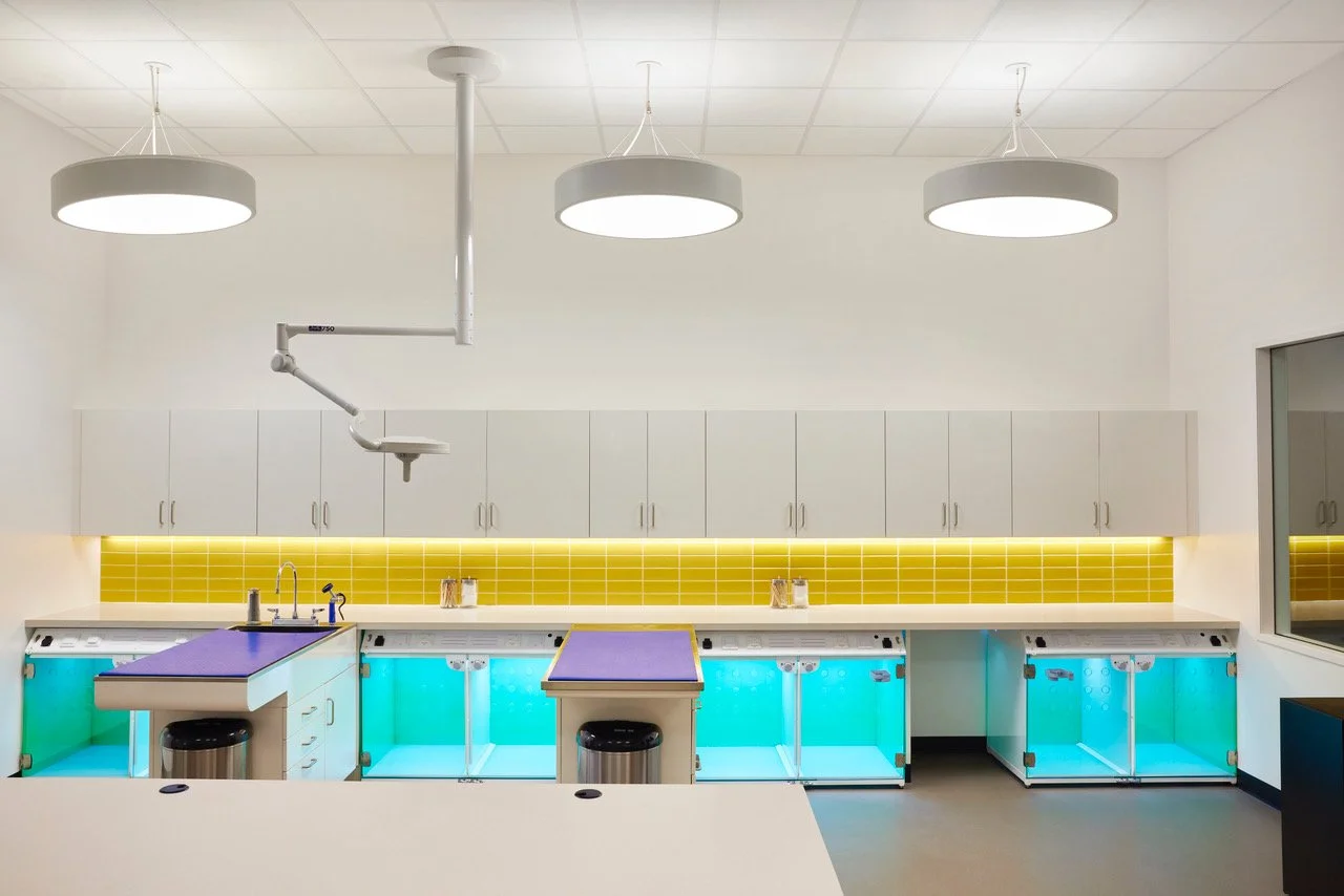 DB_Health+Wellness_Modern Animal_Studio City_Yoshihiro Makino_08.jpeg