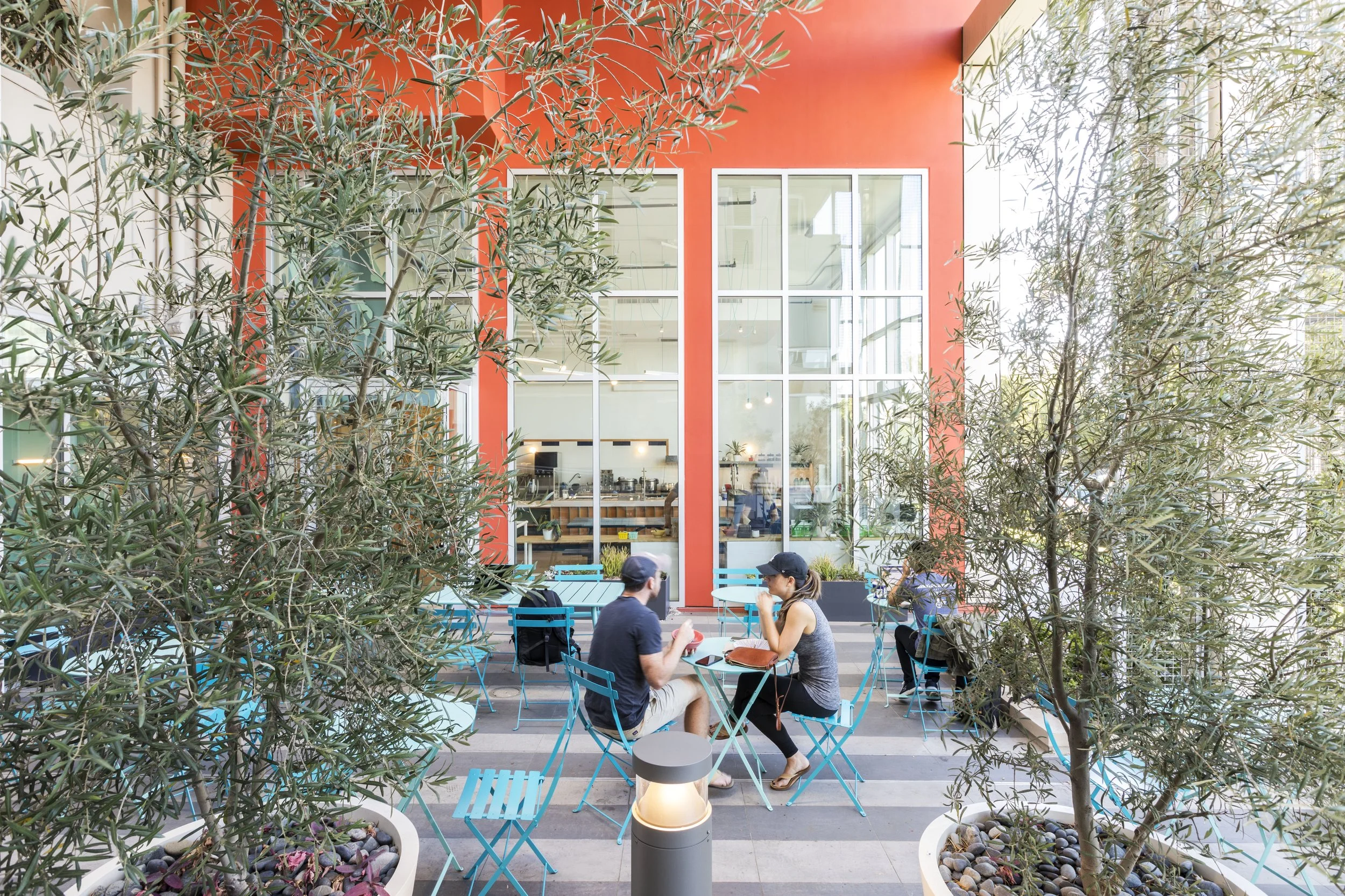 View of outdoor patio dining area with potted trees all around 