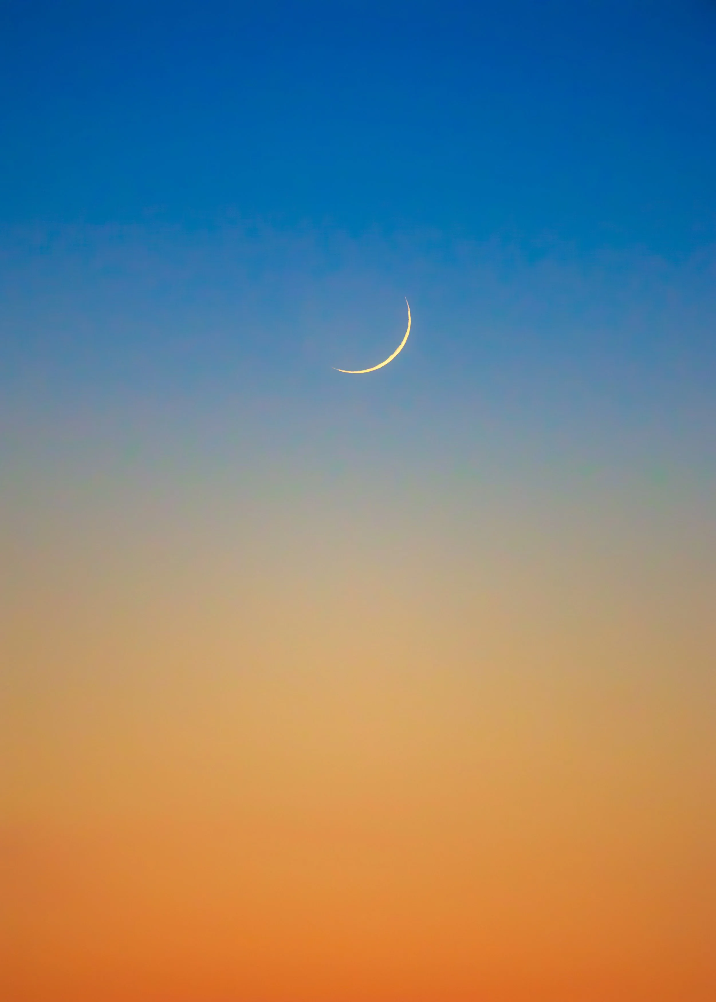 MOON-TAIDE-NEW-EDIT-2025_web.jpg