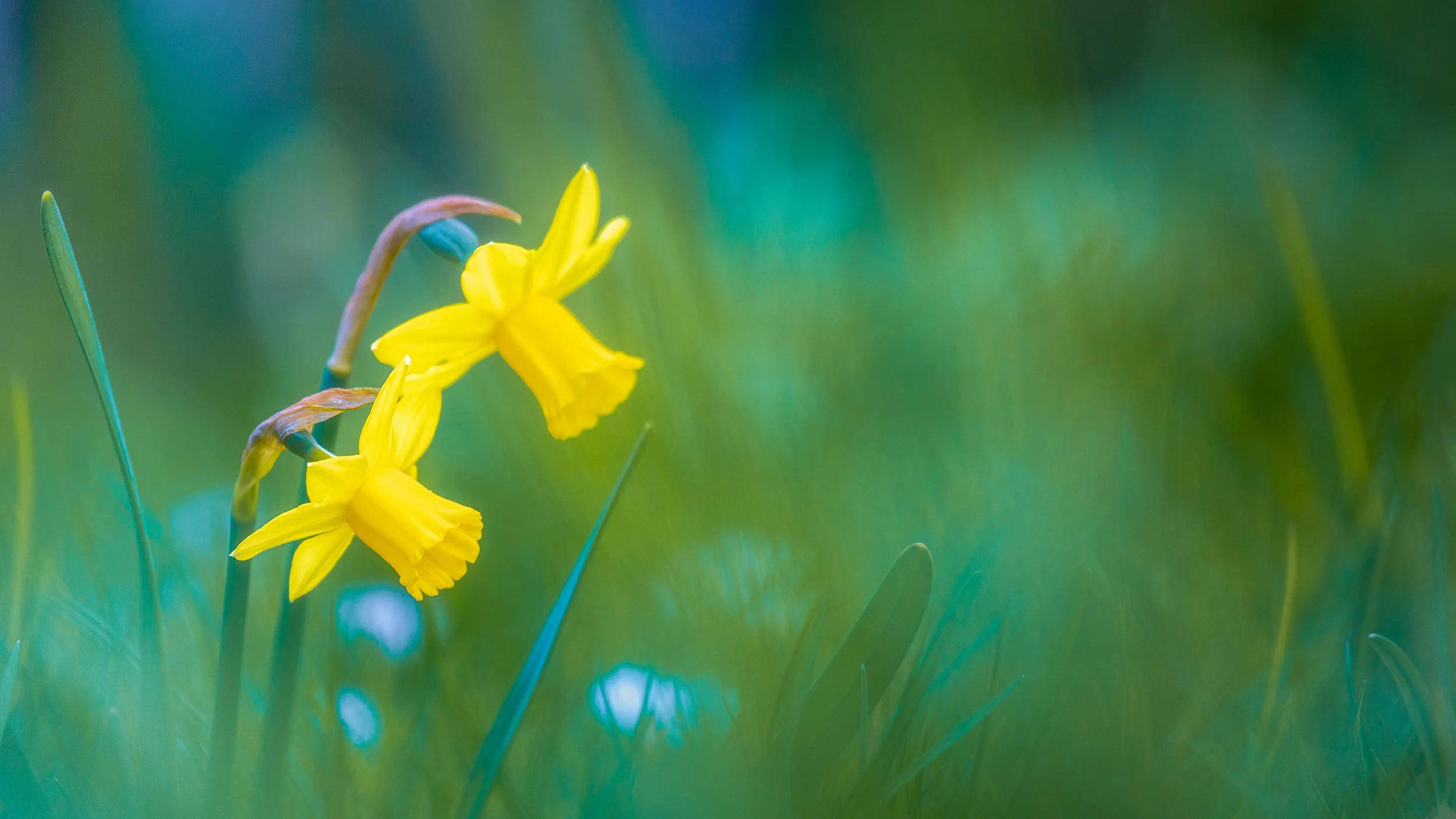 Spring Welcome | Aargau, CH