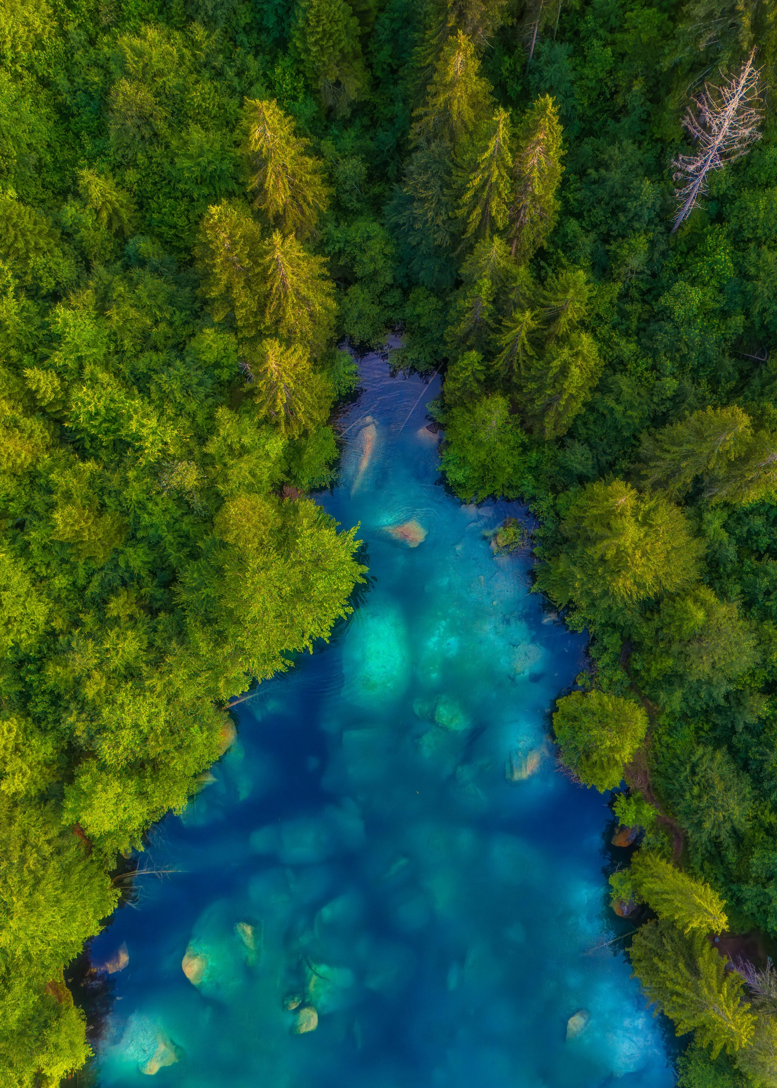 Aerials