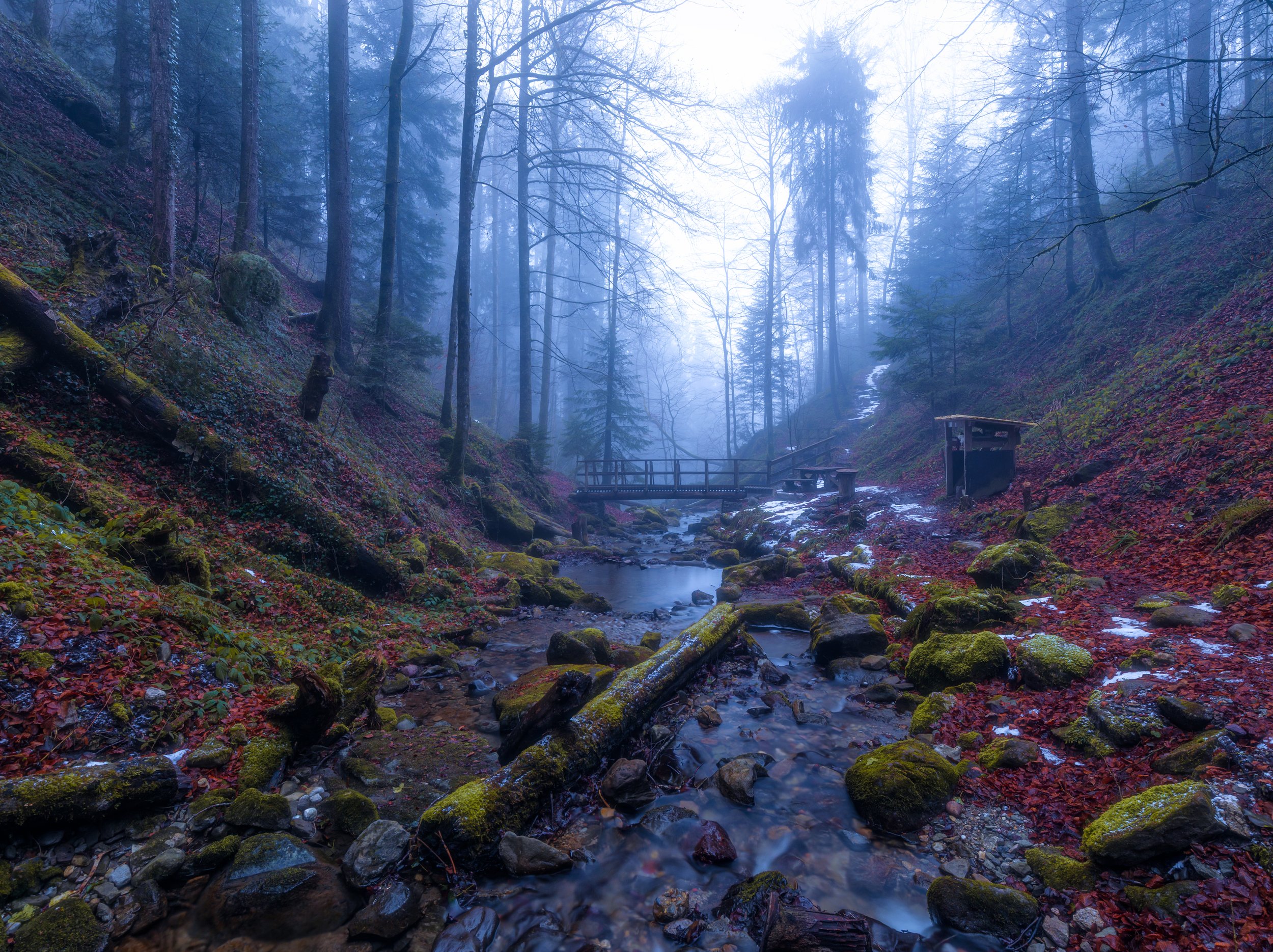 Haunting Wilderness, Switzerland 2026