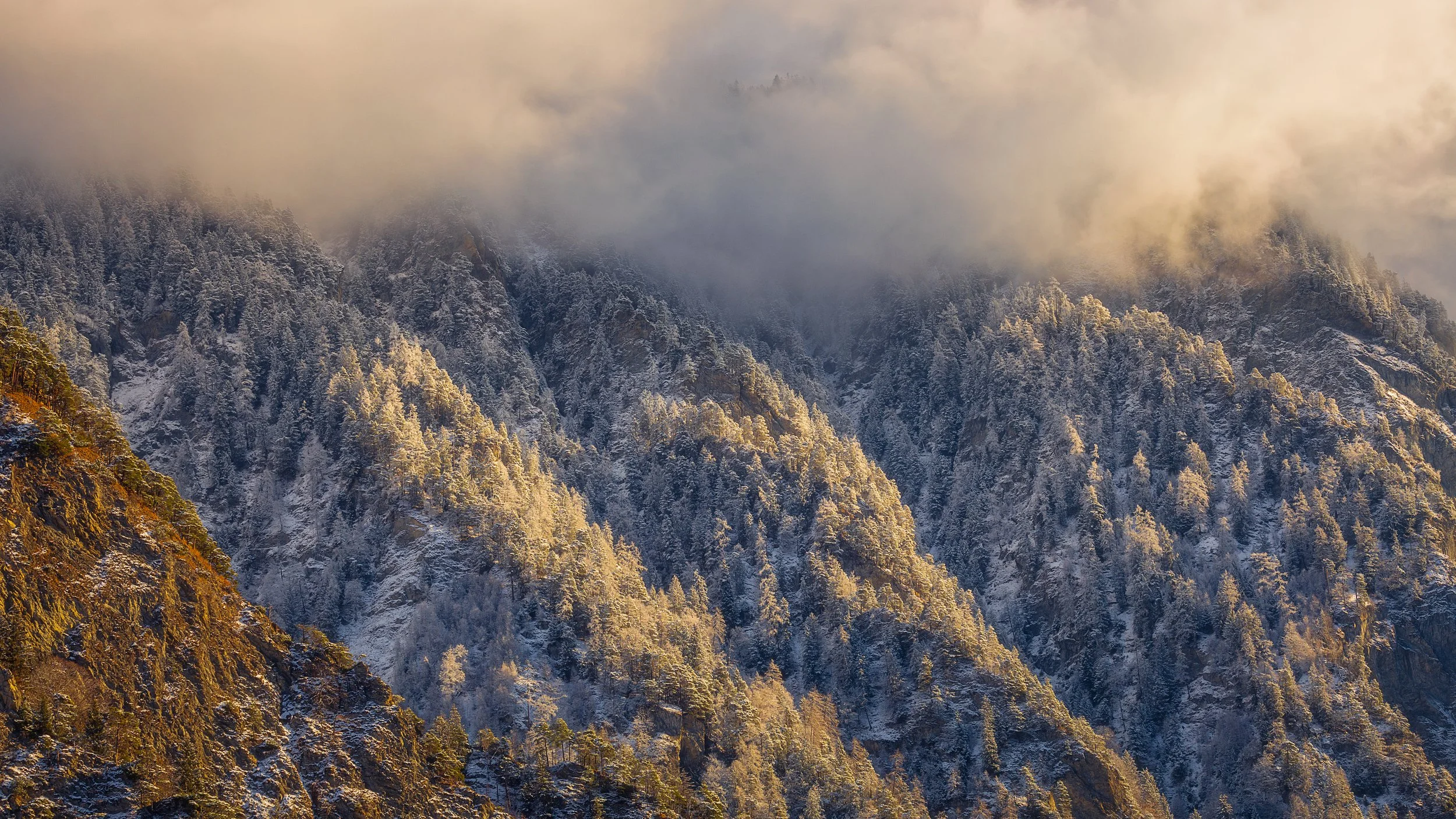 Golden Silence, Switzerland 2025