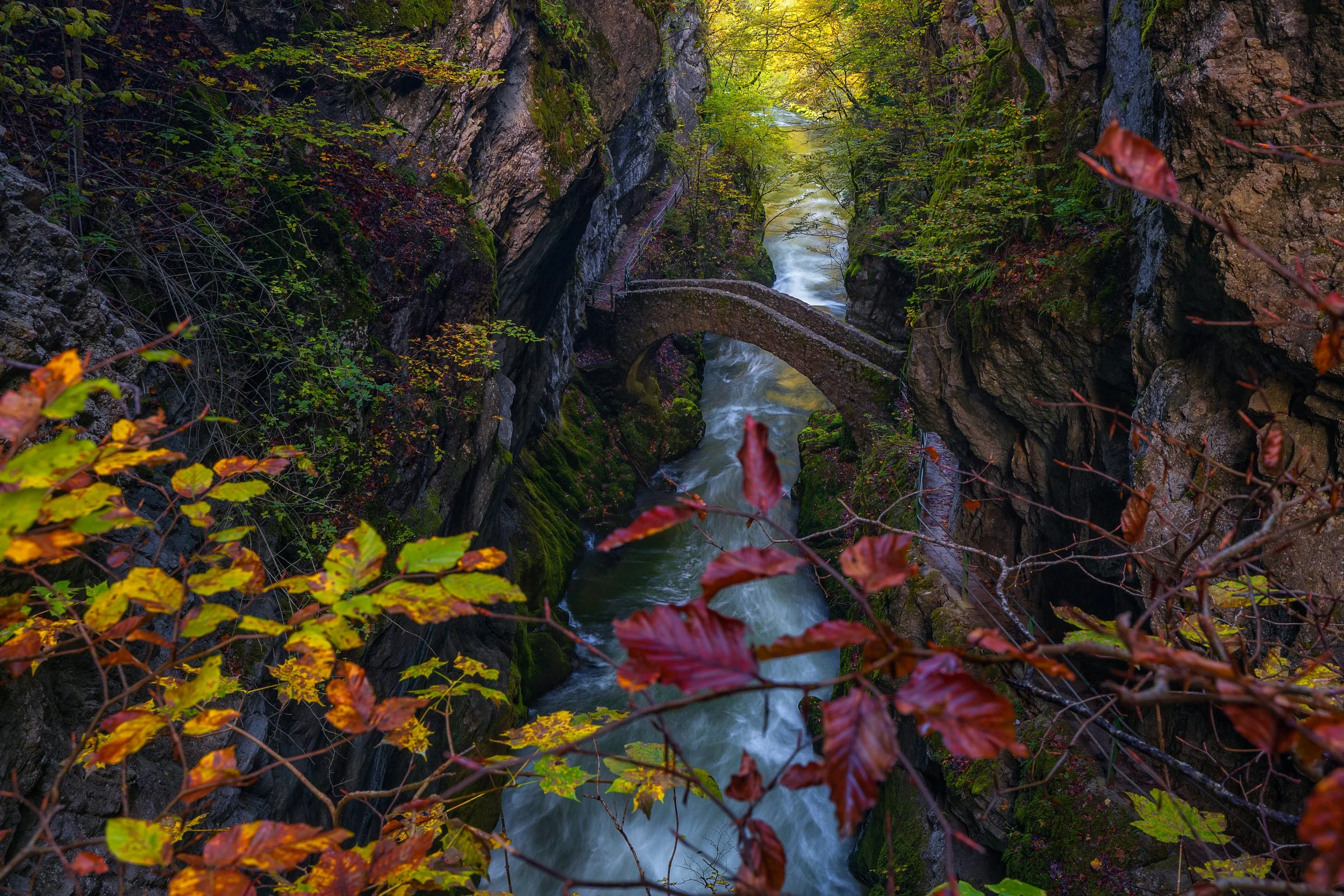 Painted by Nature, Switzerland 2025