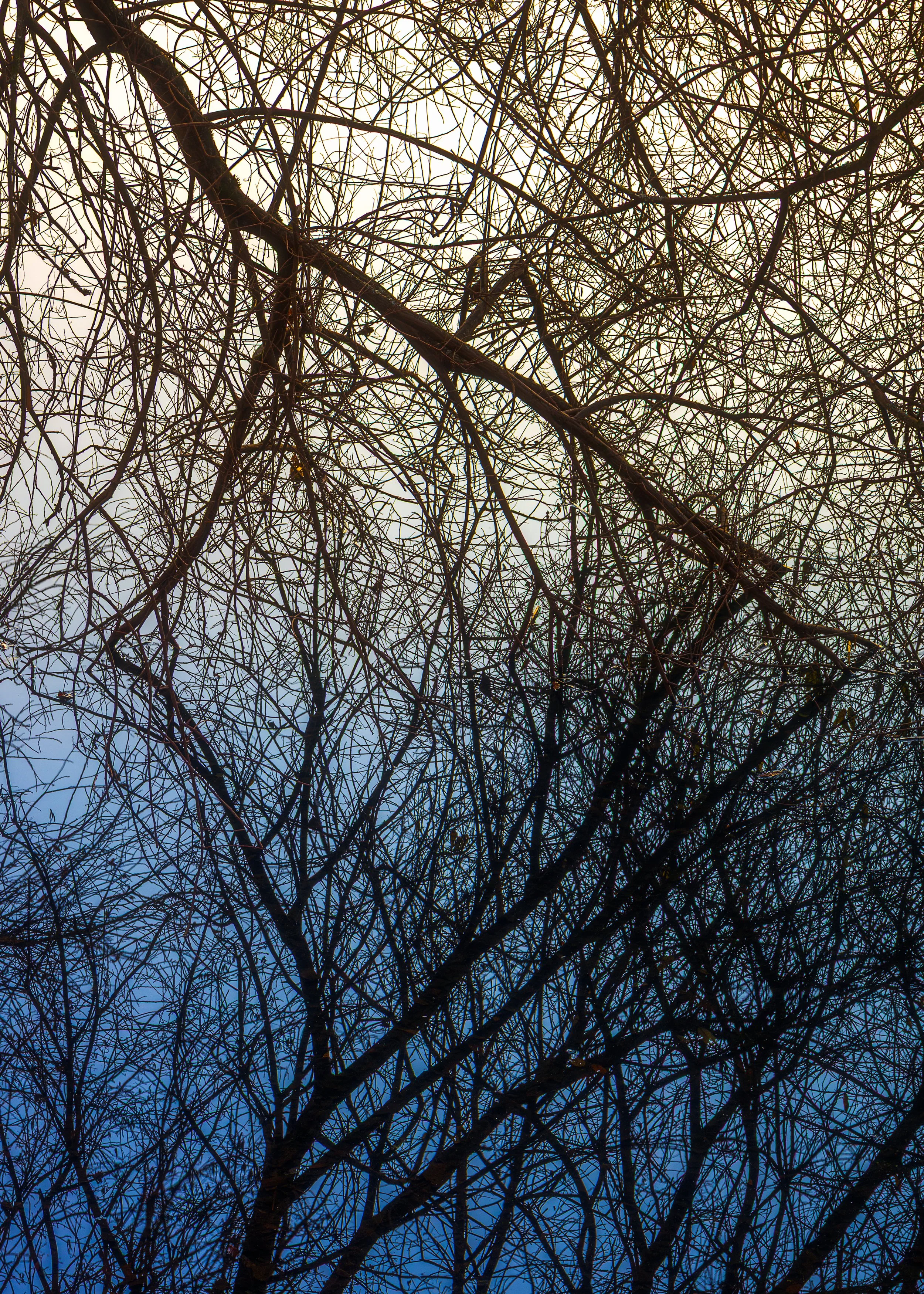 abstrackt-reflection_web.jpg