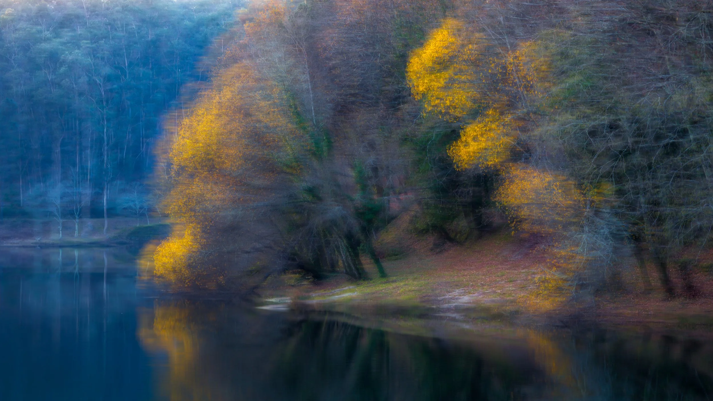 ICM-reflections-web.jpg