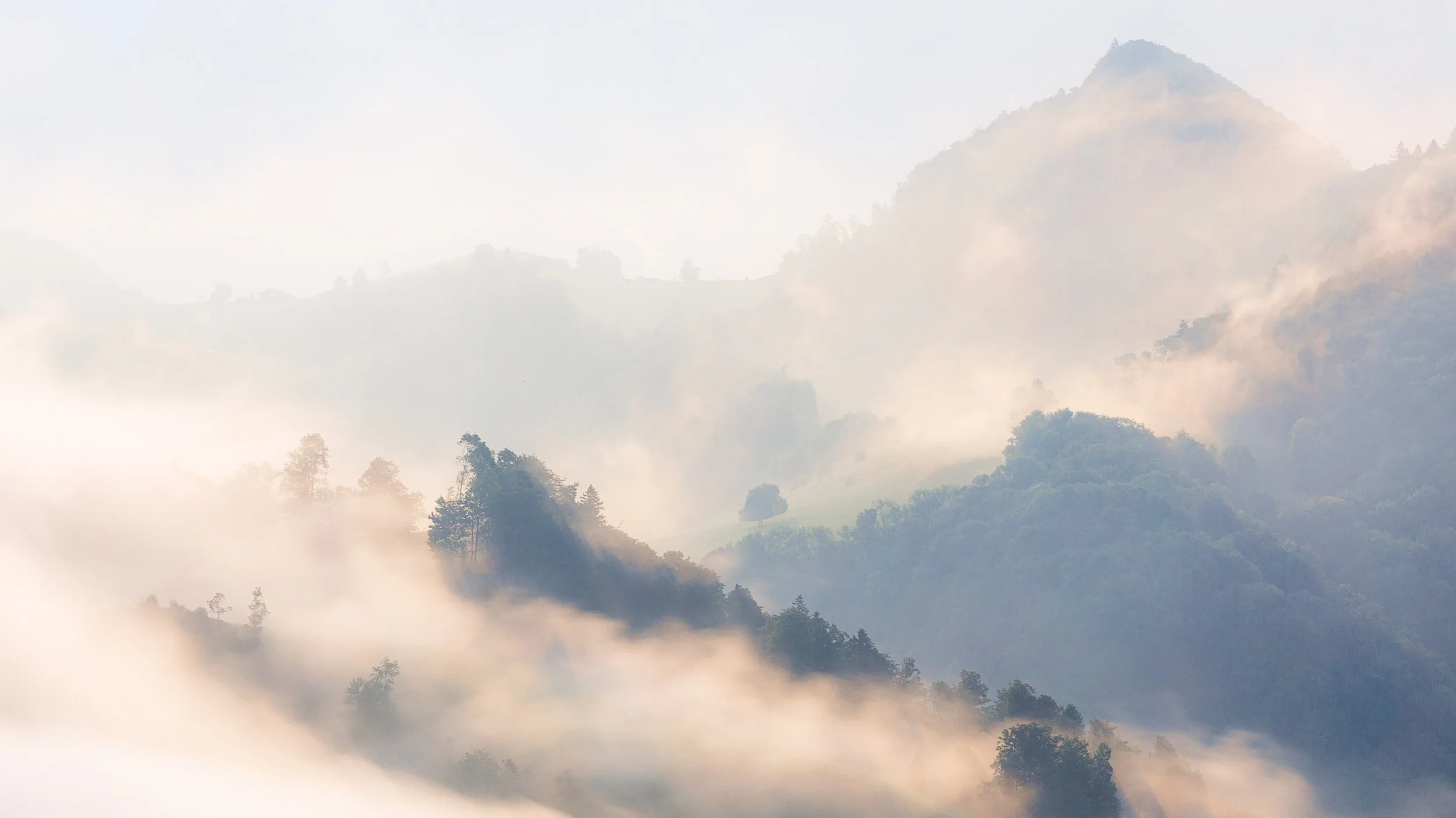 Tales of Fog, Switzerland 2025