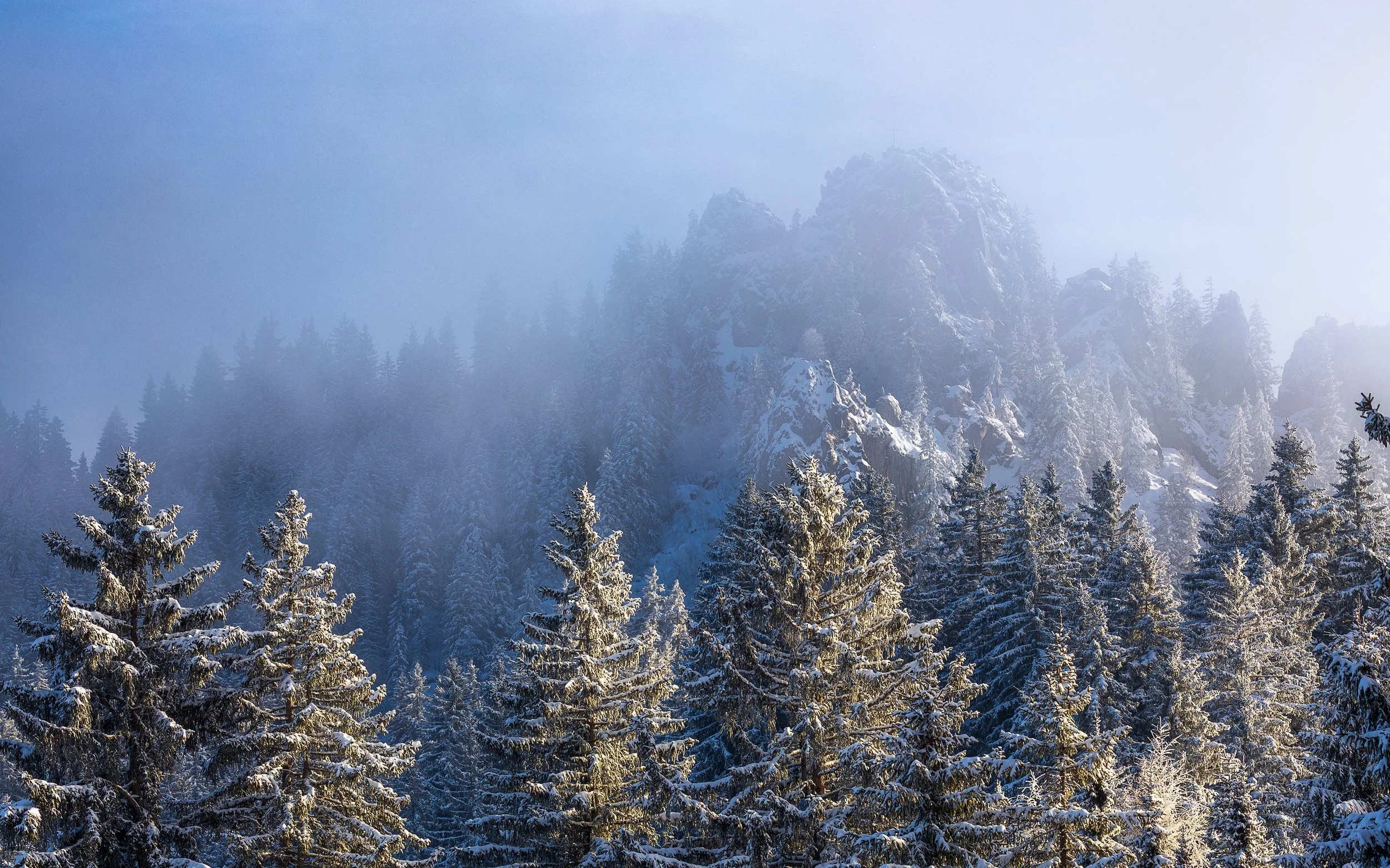 My Mind is a Mountain, Switzerland 2026