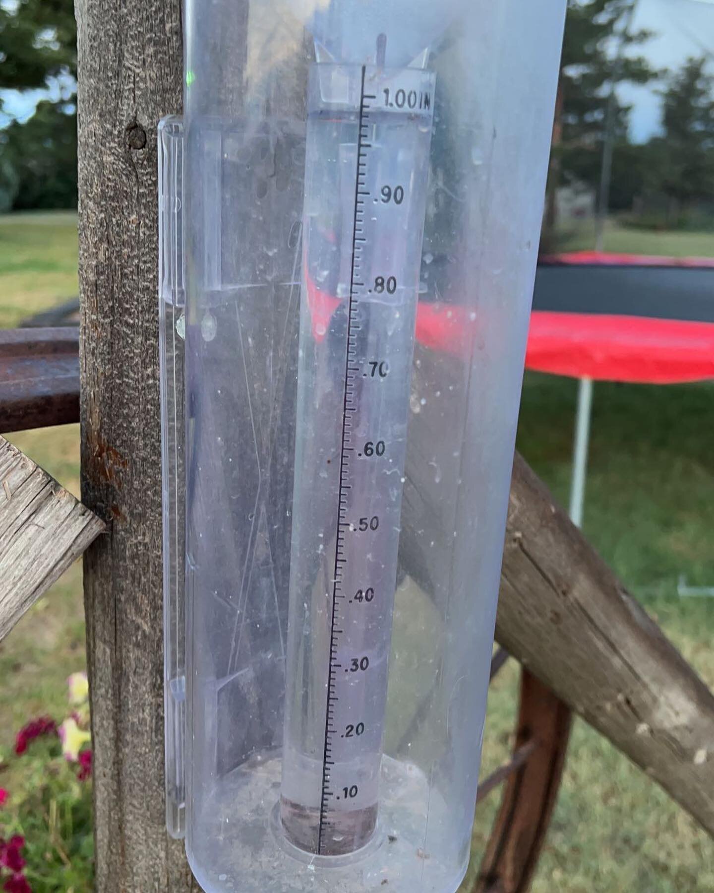 This won&rsquo;t seem like much to most because your rain loads have been heavy.

But this rain gauge has collected more dust and bugs in the past 2 years then it has rain.

An inch, last night we received an inch at our homestead. An inch isn&rsquo;