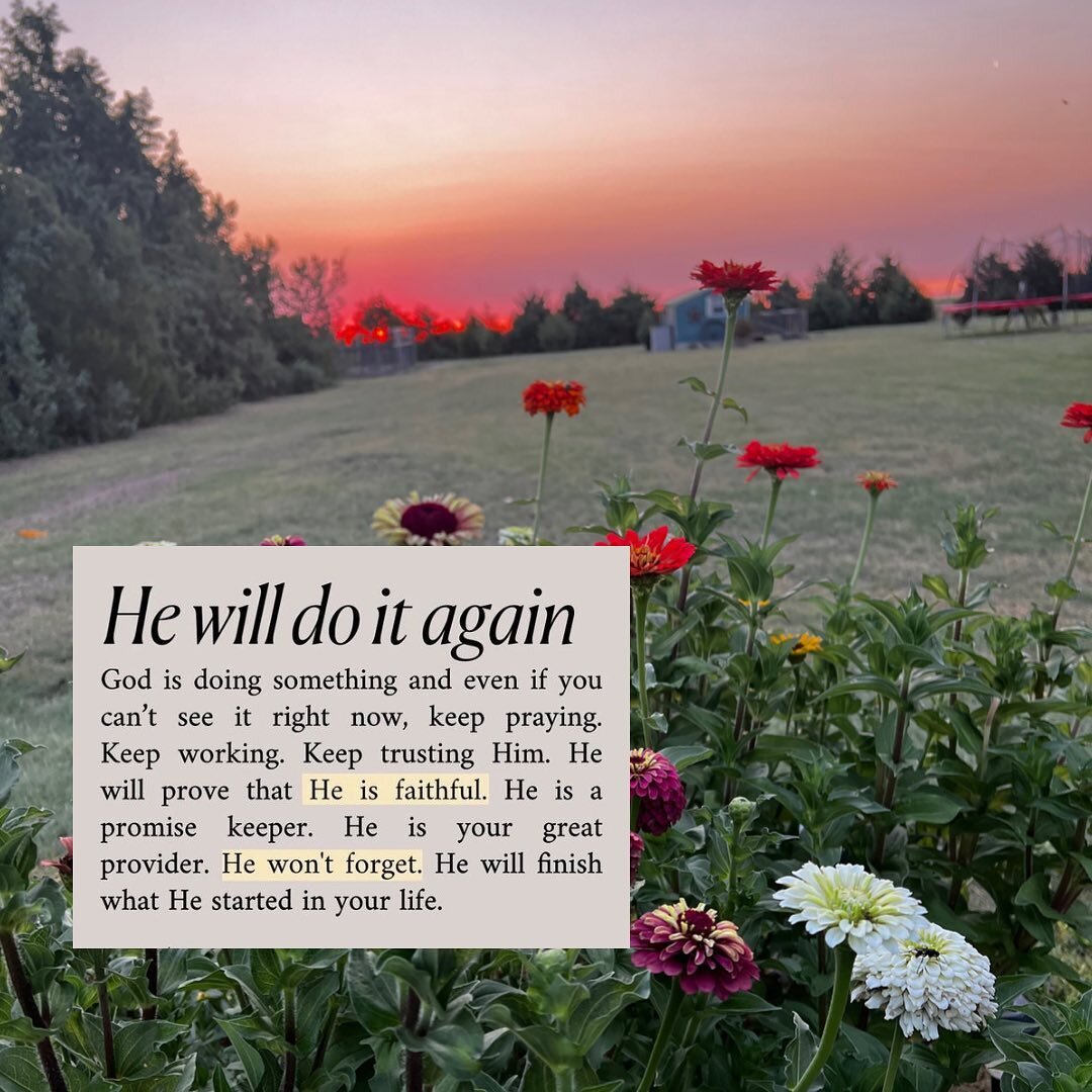 ⏫⏫⏫
Gods vision is much 
farther than my sight.

I tend to forget that. So today reminder🤍

#instagood #garden #flowergarden #morningmotivation #morningcoffee #sunriseoftheday #kansas #drought #hope #farmfamily #farmwivespray #livinonaprayer #blesse