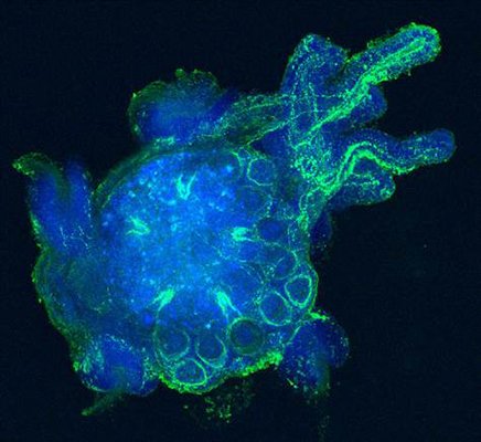 CMDB - Past Symposia