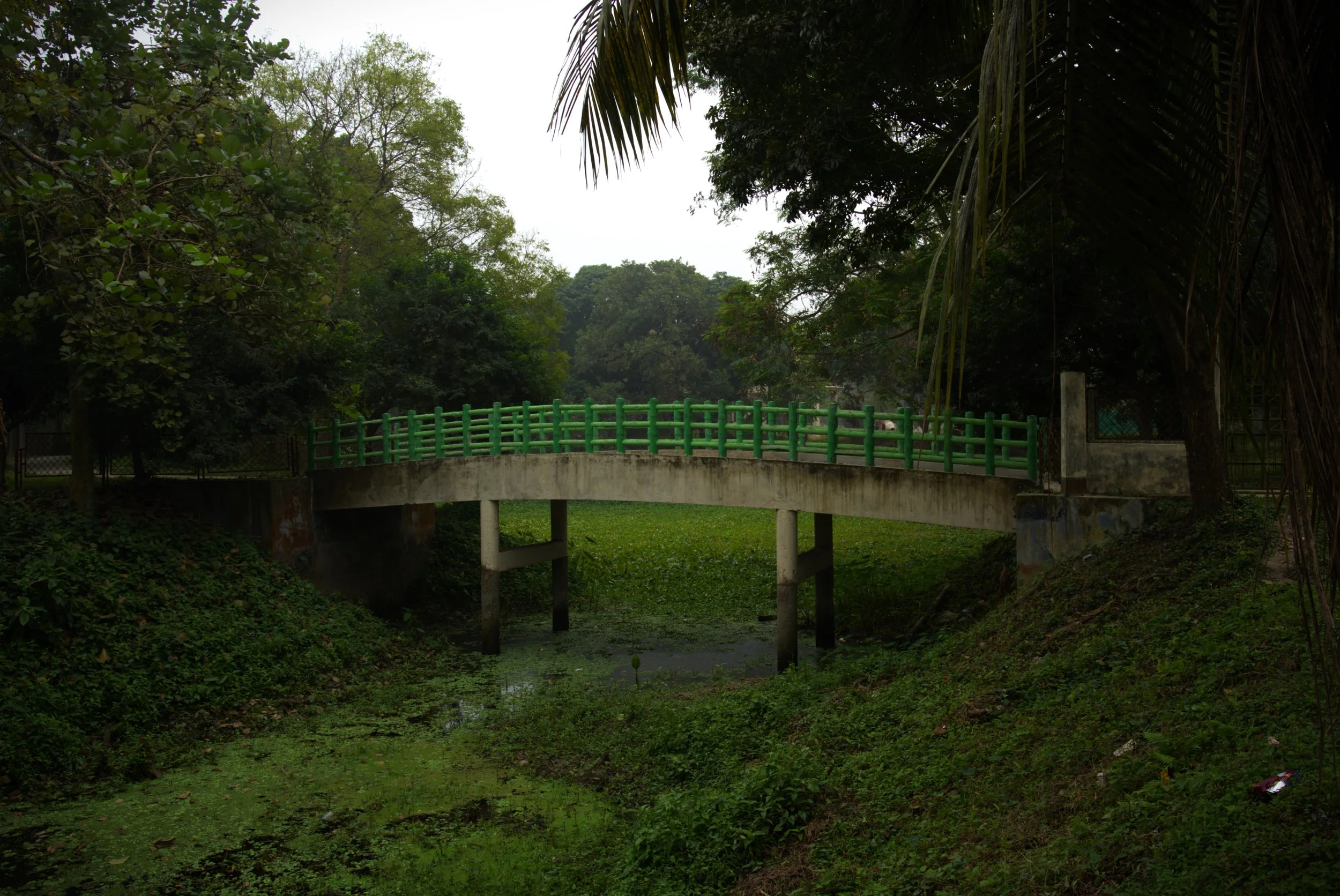 Bridge 2.jpg