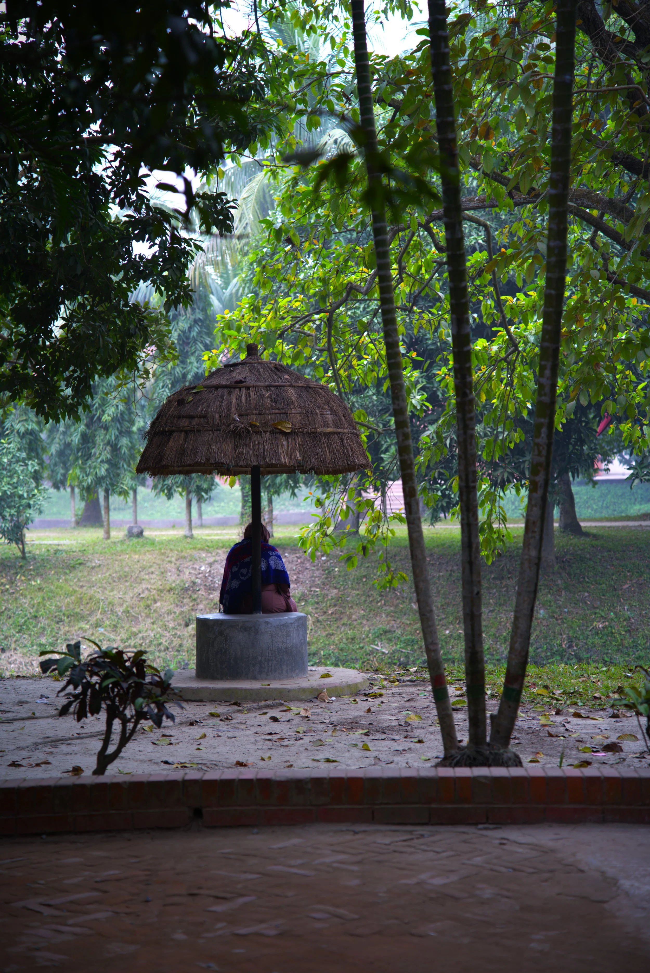 Umbrella.jpg