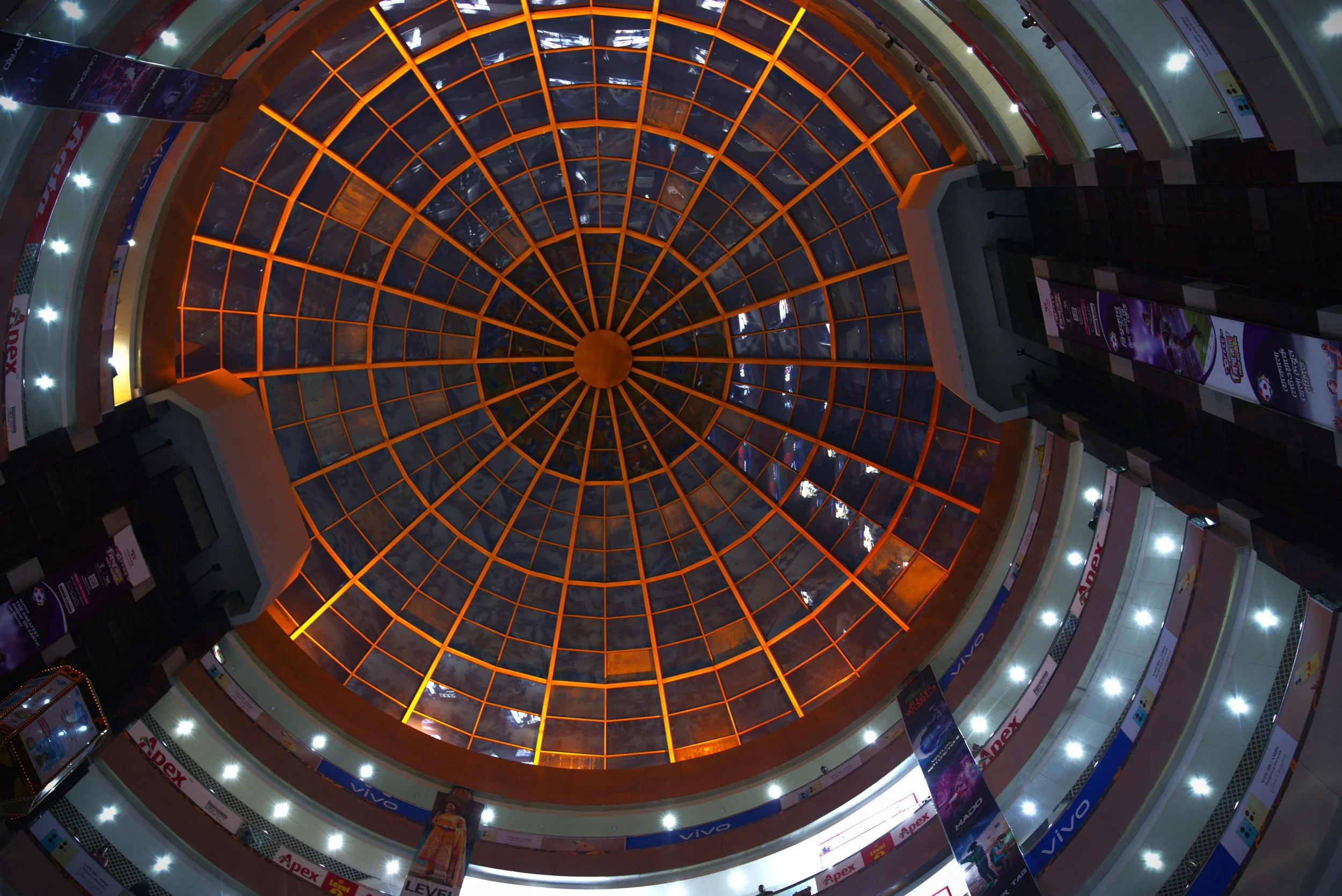 Look Up.jpg