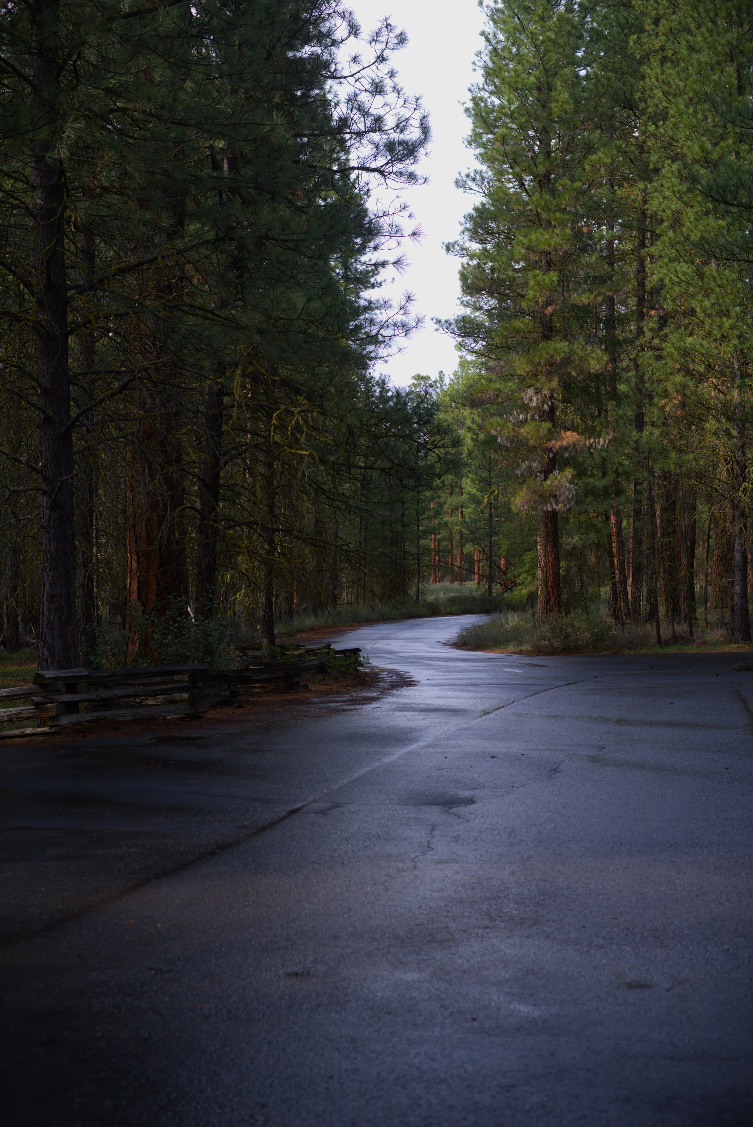 Down the Road.jpg