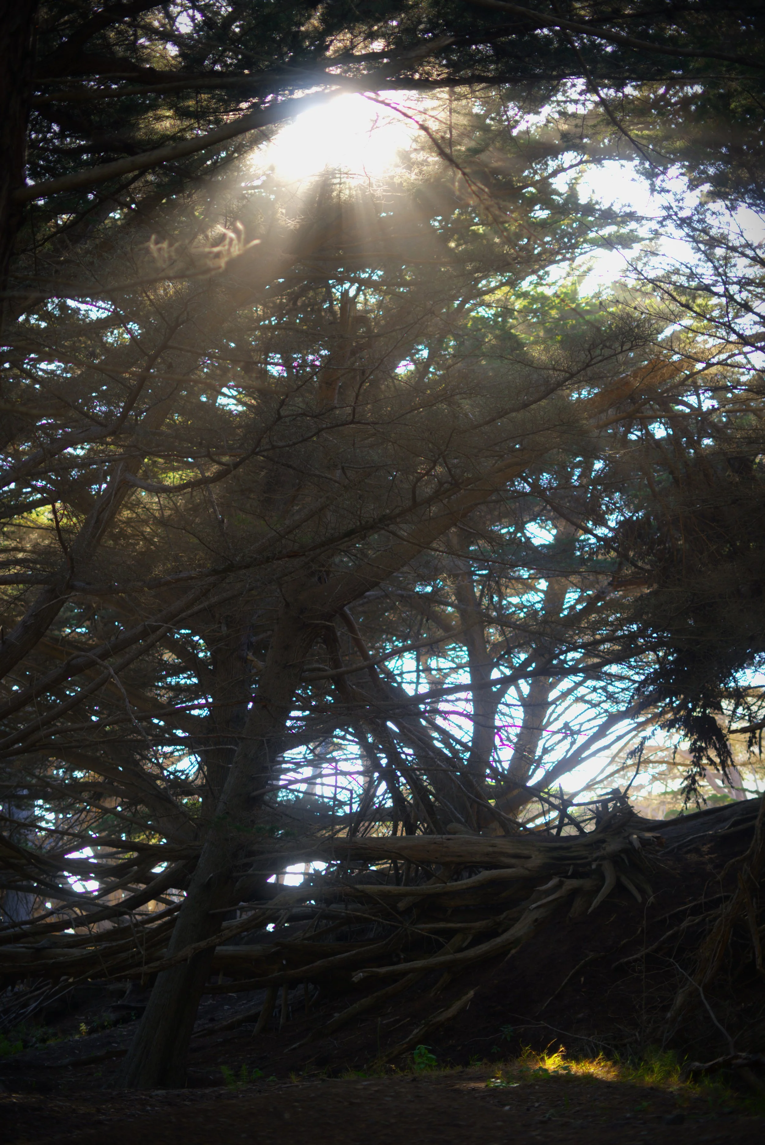 Sun Breakthrough.jpg