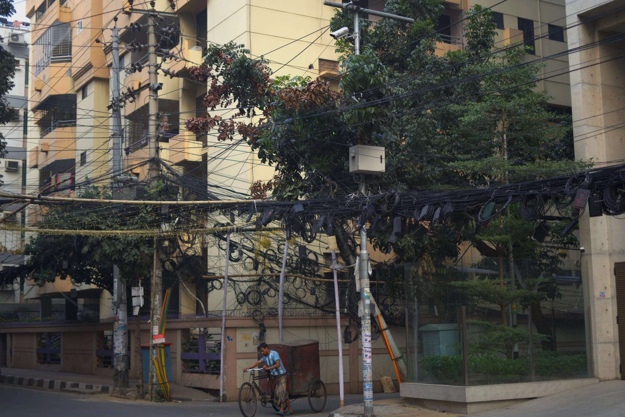 Ratnest powerline.jpg