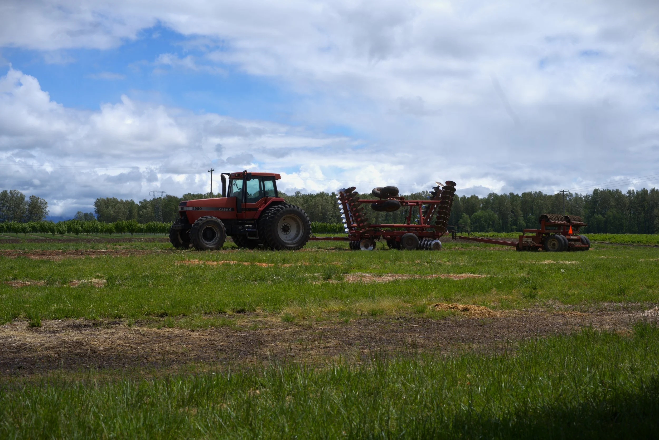 Tractor.jpg