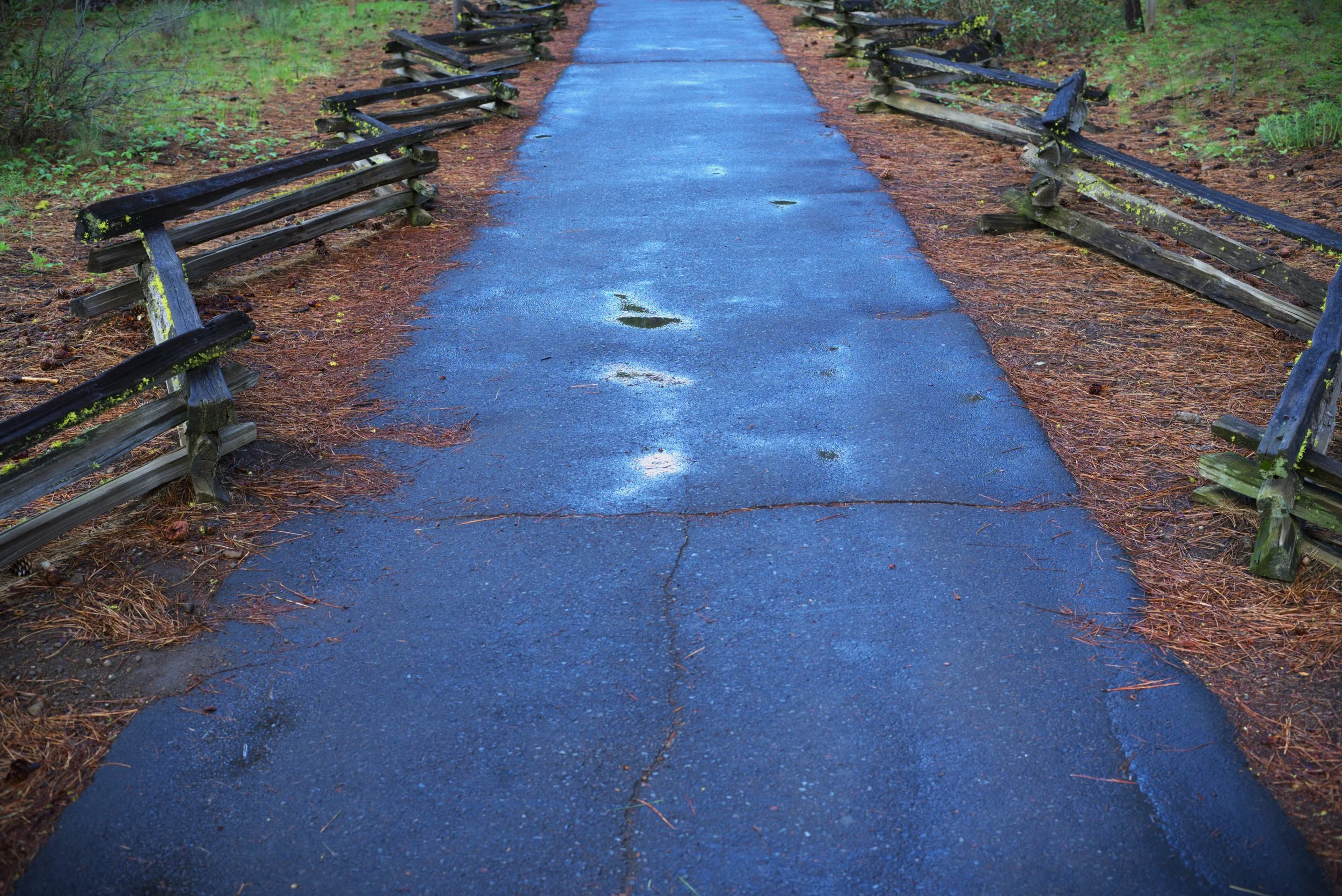 Down the Sidewalk.jpg