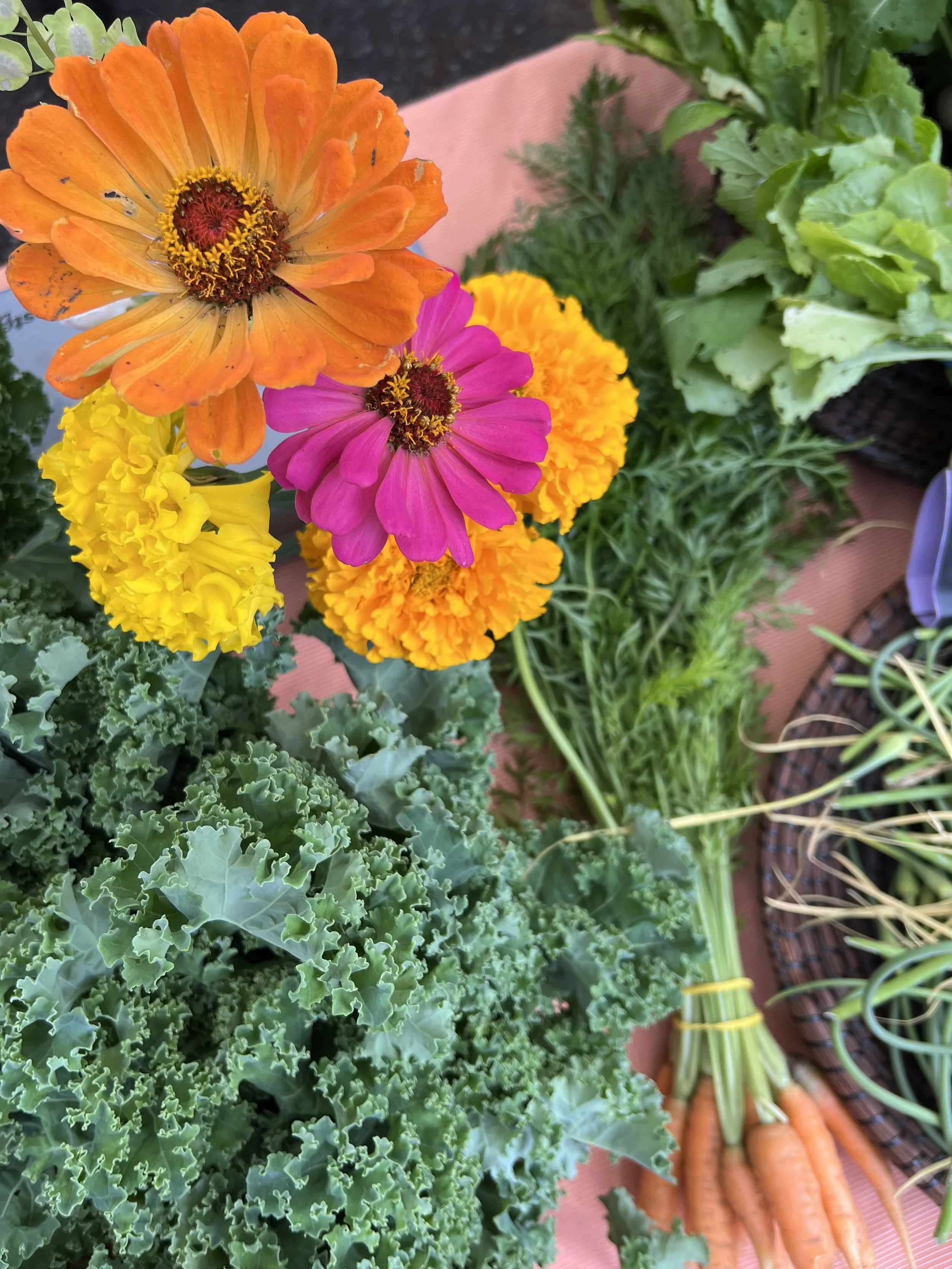 Farmers &amp; Growers