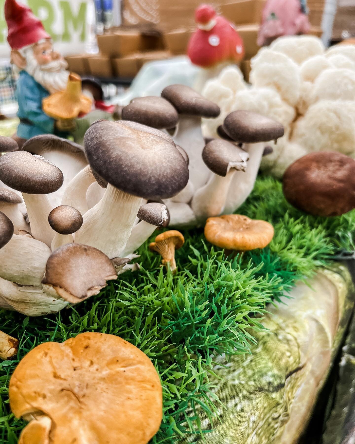 Happy Saturday! 🍄 

The sun is out, we&rsquo;ve got an amazing line-up of vendors including tons of food options, beautiful music and some fun kids (or kid at heart) crafts going on!

We&rsquo;re here till 3 - see you soon! 😊

#squamishfarmersmarke