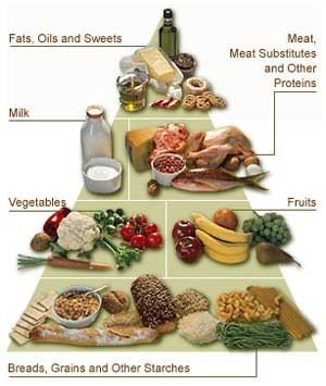 Food pyramid