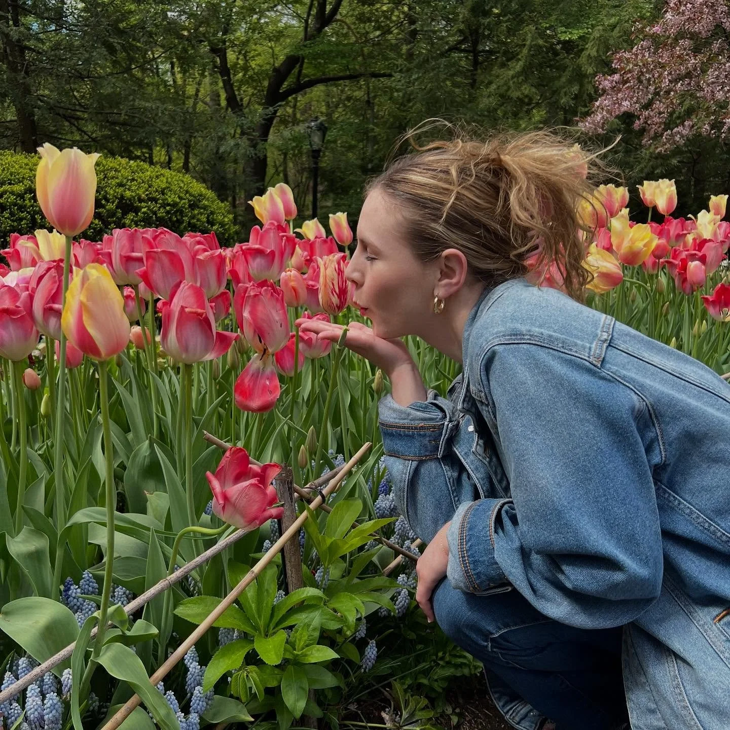 this and a tummy full of blueberry pancakes 😛🥞🫐🌷