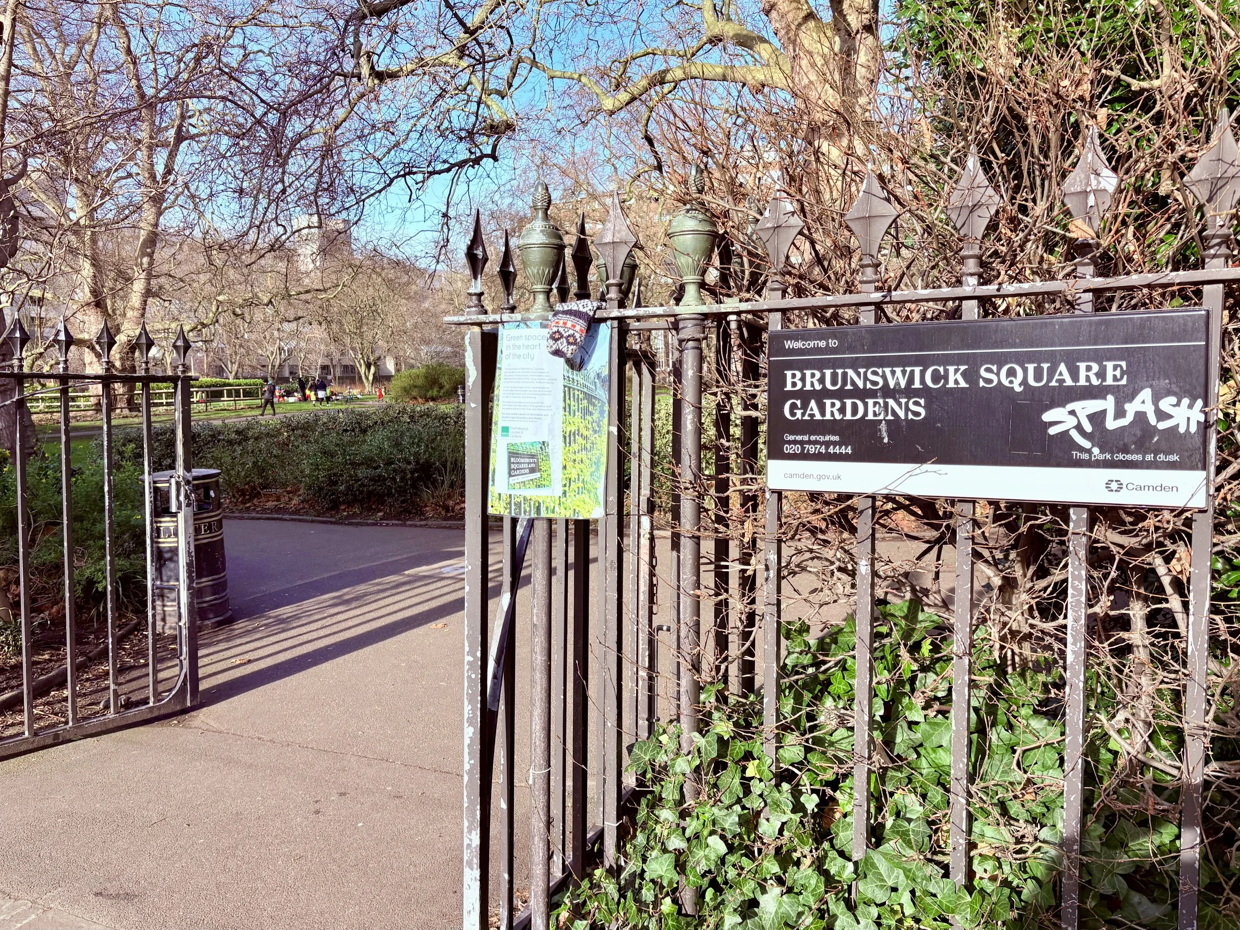 Bloomsbury's Backyard