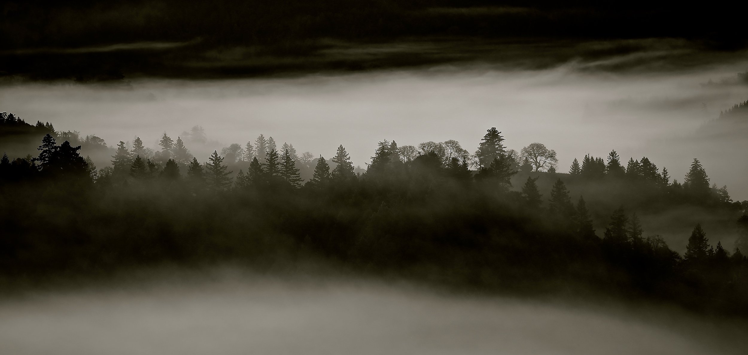 Treeline