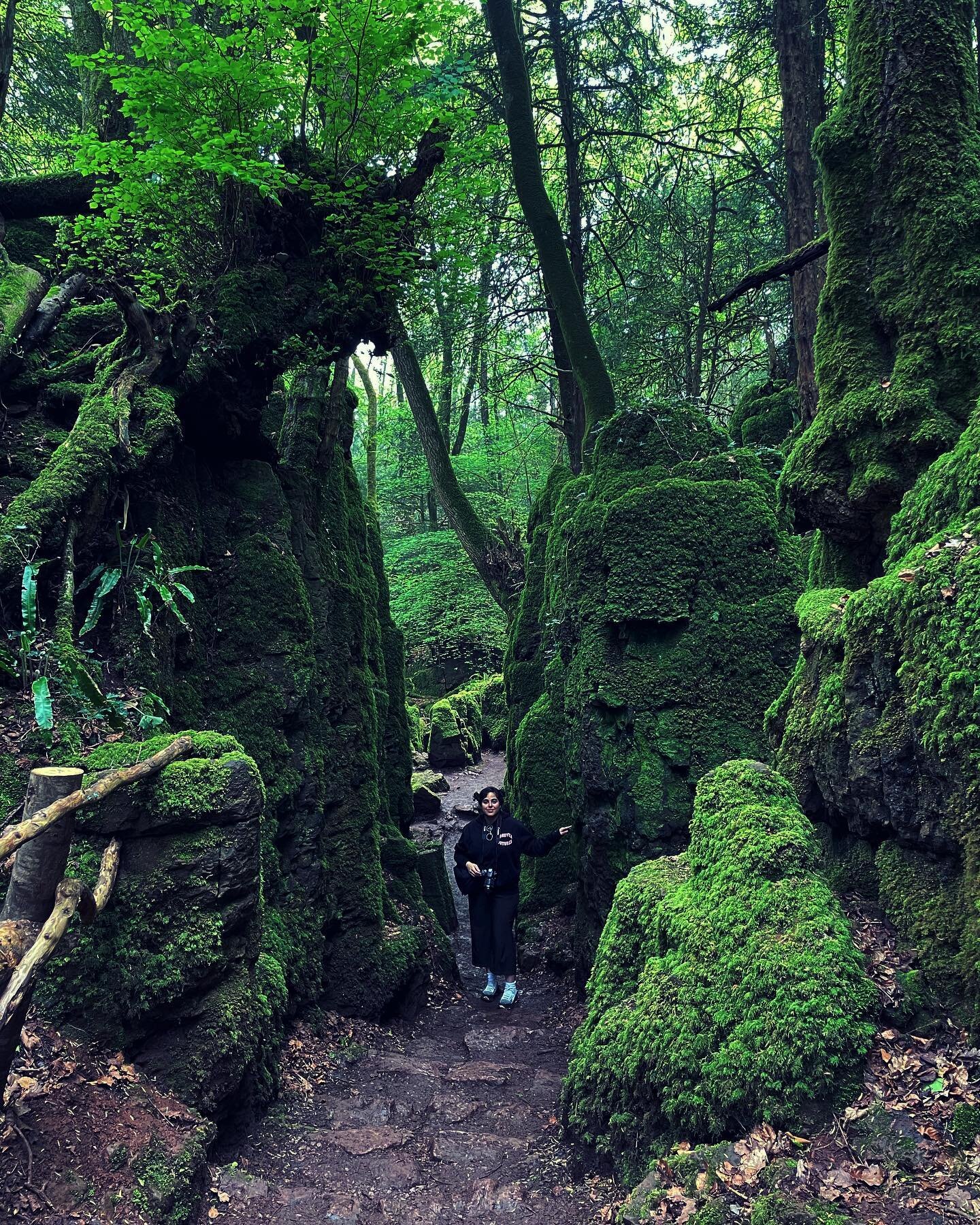 💚 @puzzlewoodfod