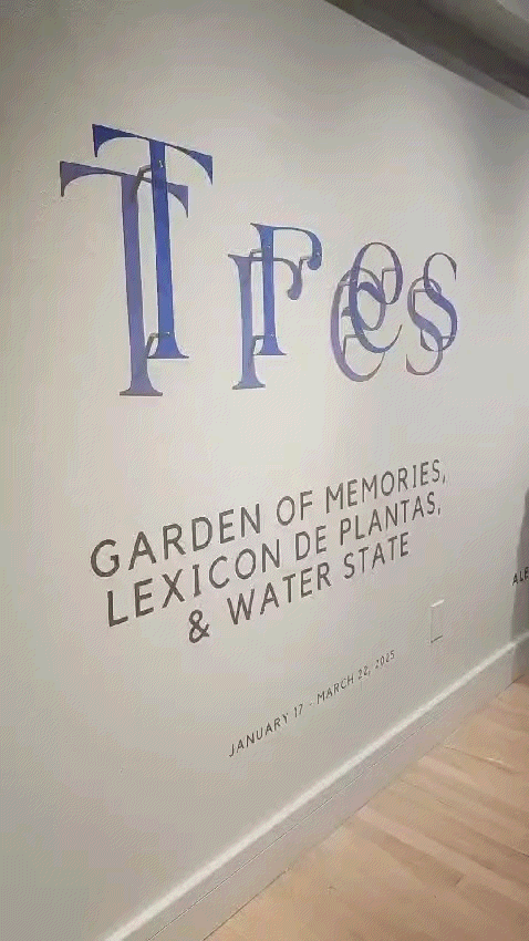 Performances during the opening of the exhibition Tres