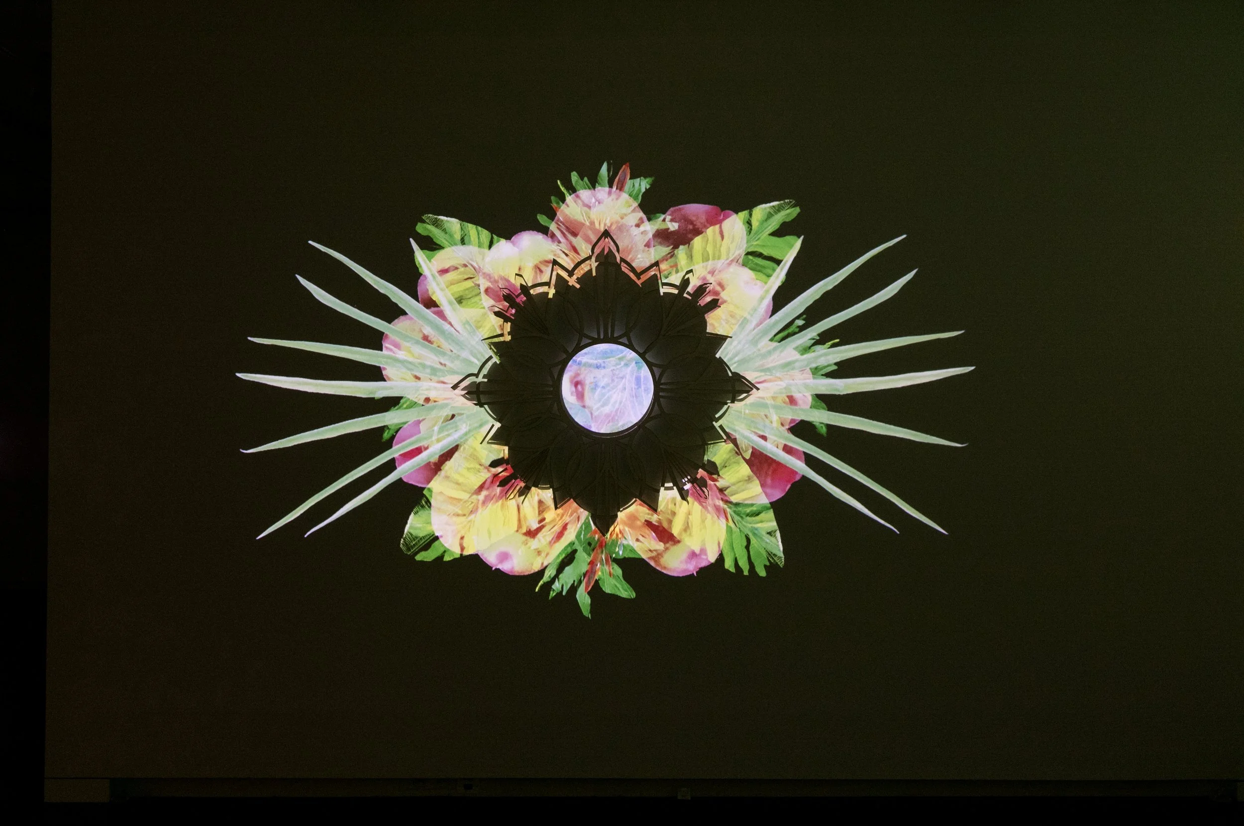 Un Pais Olvidado: Reliquias de Vigencias, 2021 at CUAM, Boulder, CO